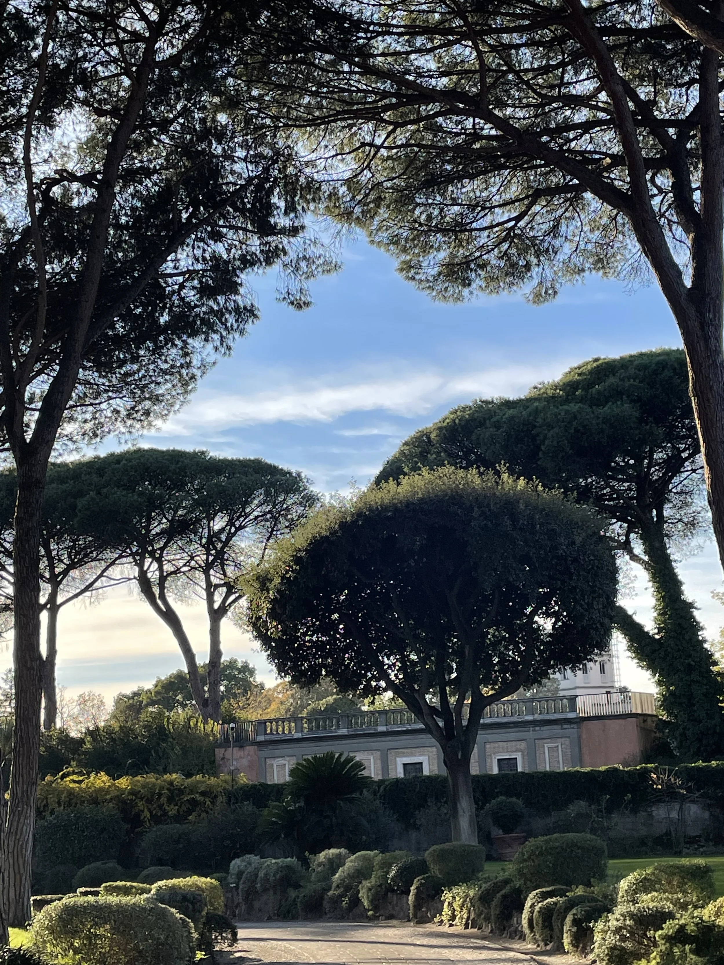 Aurelia Gardens.jpeg