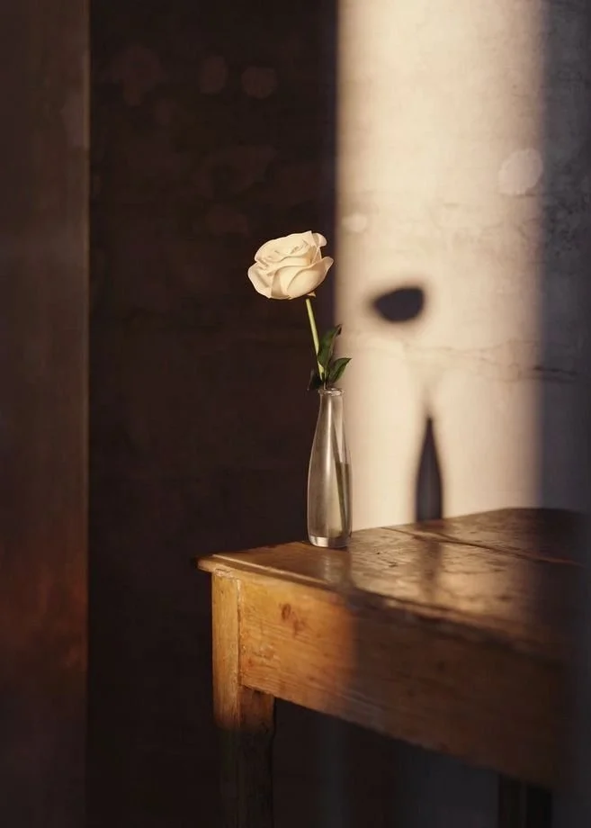 Single white rose in a tall, narrow glass vase on wooden surface with shadow cast on the wall behind.