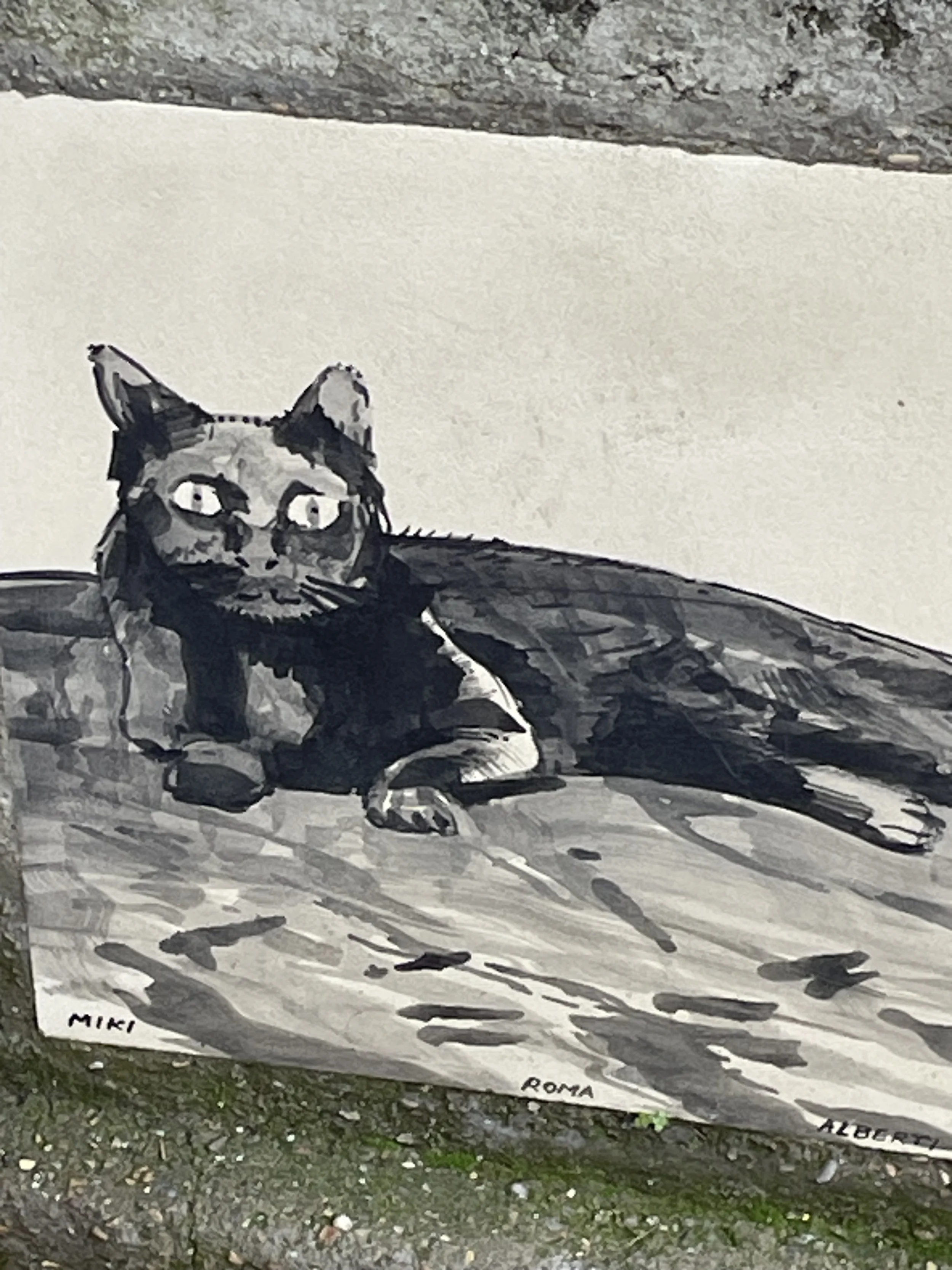 Black and white painting of a cat lying on a surface, with the name "Miki" and "Roma" written at the bottom, and the artist's signature "Alberg".