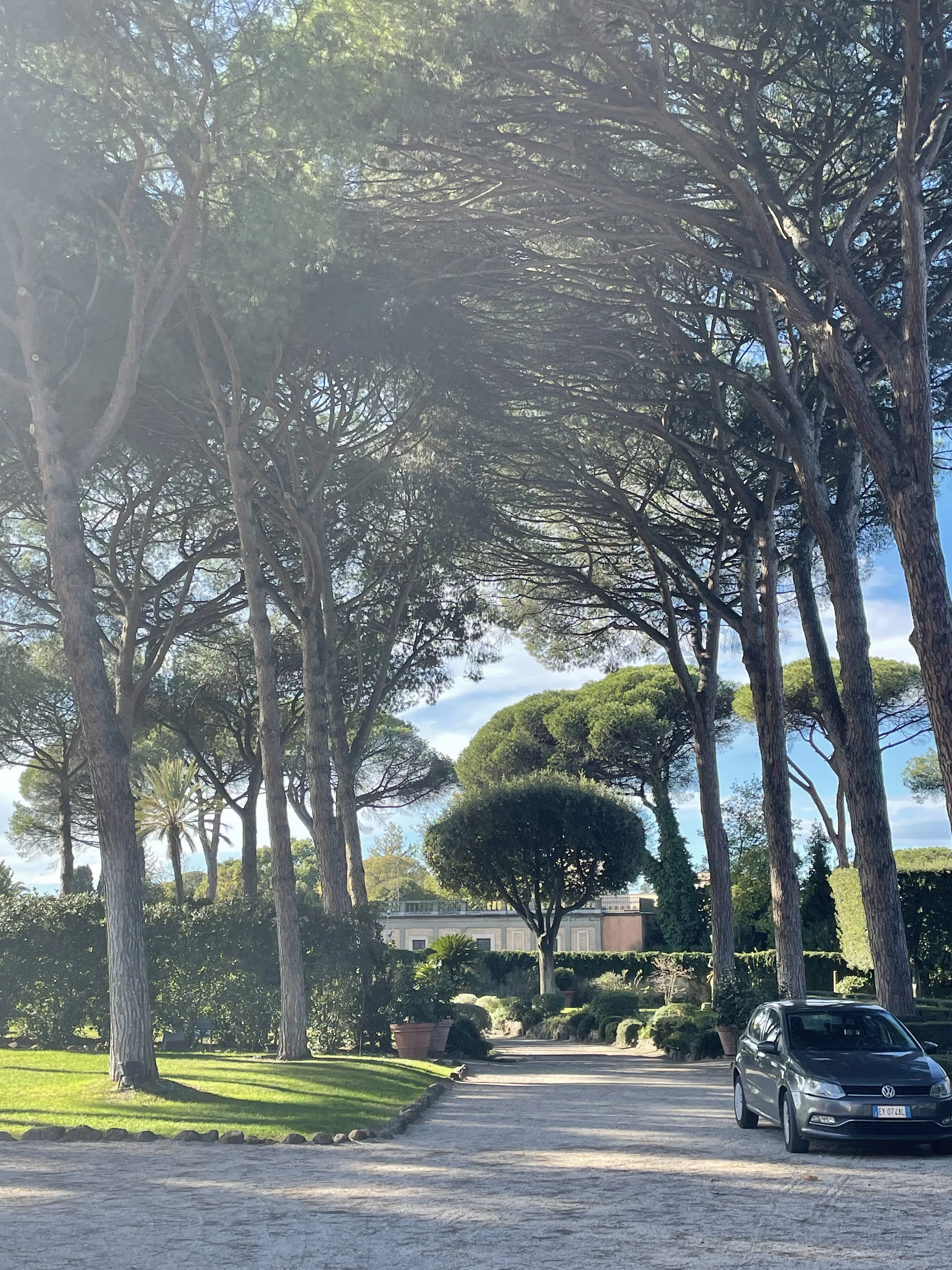 A gravel driveway lined with tall pine trees and lush green bushes. A silver car is parked on the right side. In the background, there is a large house partially hidden by trees and hedges. The sky is partly cloudy with sunlight filtering through the