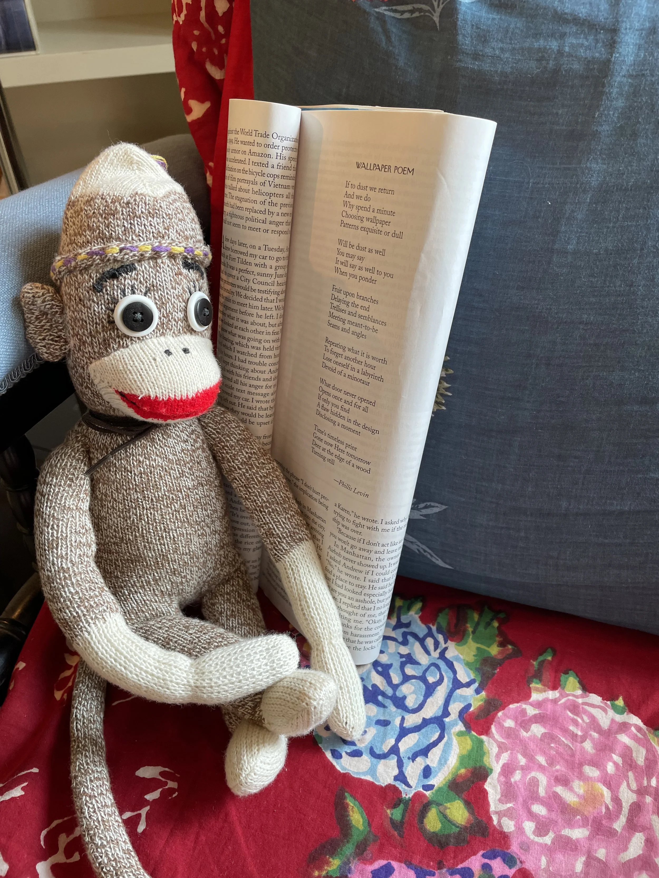 sock monkey, new yorker .jpeg