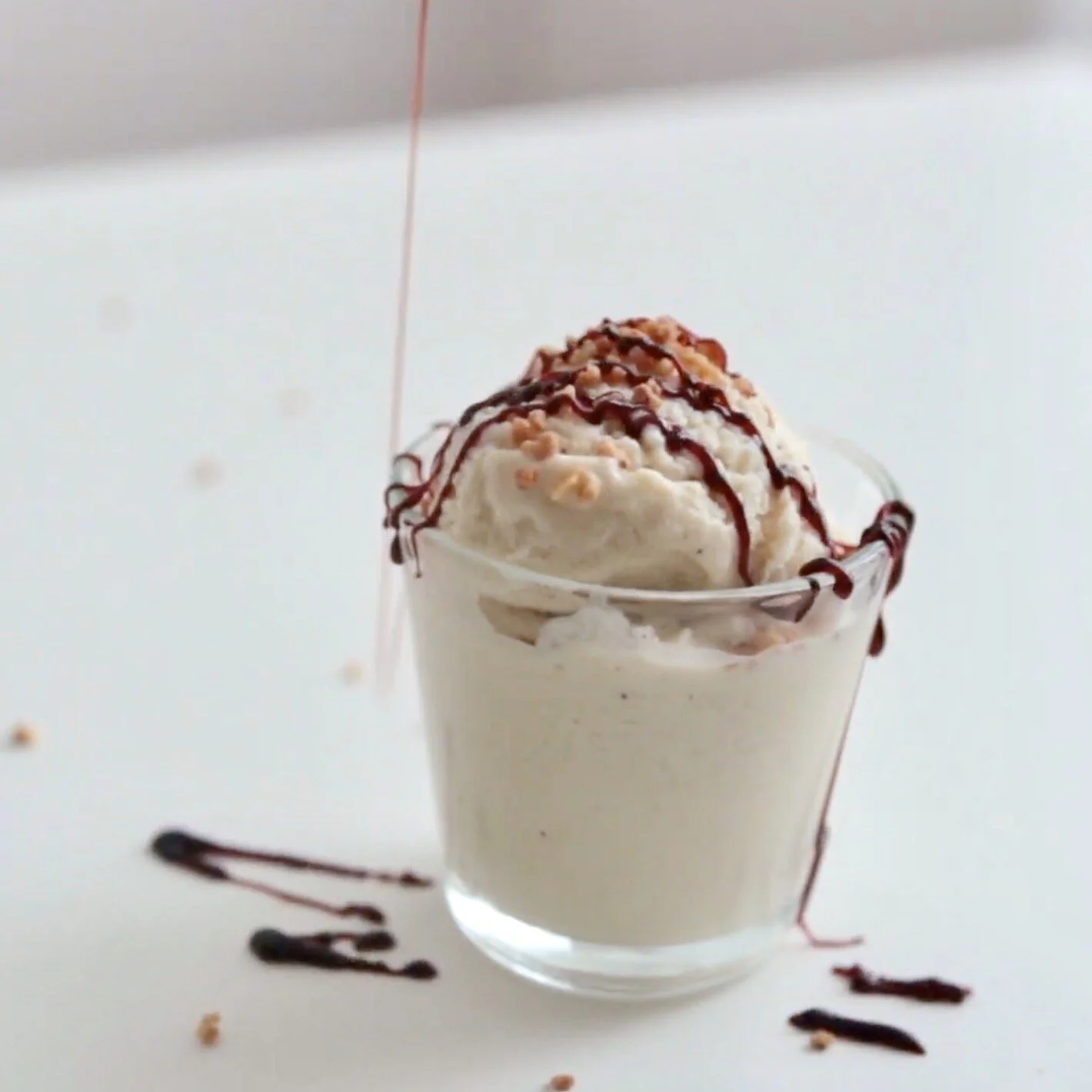 Real Vegan Vanilla Ice Cream