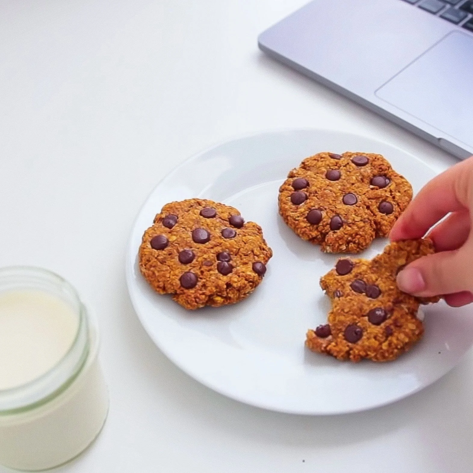 Pumpkin Chocolate Chip Oatmeal Cookies