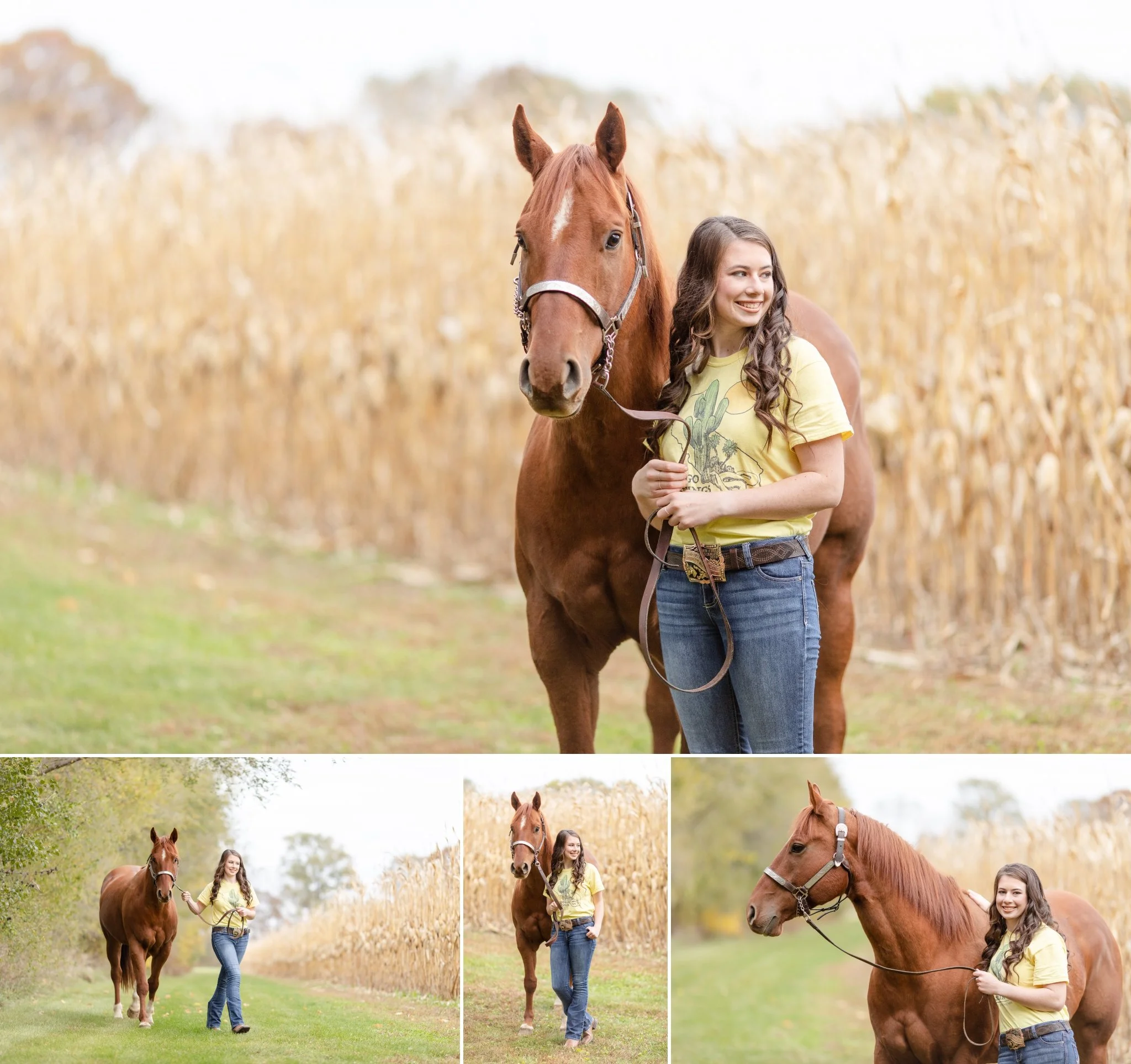 Chestnut quarter horse gelding and his owner posing for senior pictures by cornfield