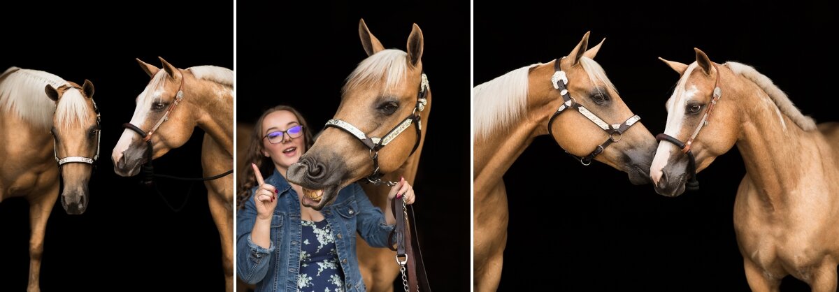 Wisconsin equine photographer