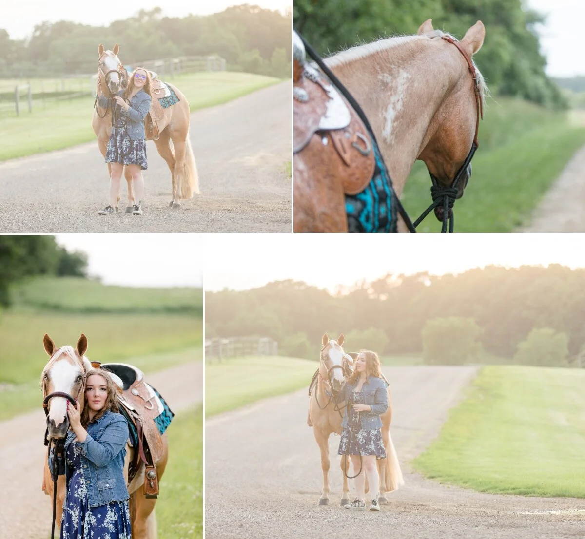 Wisconsin equine photographer
