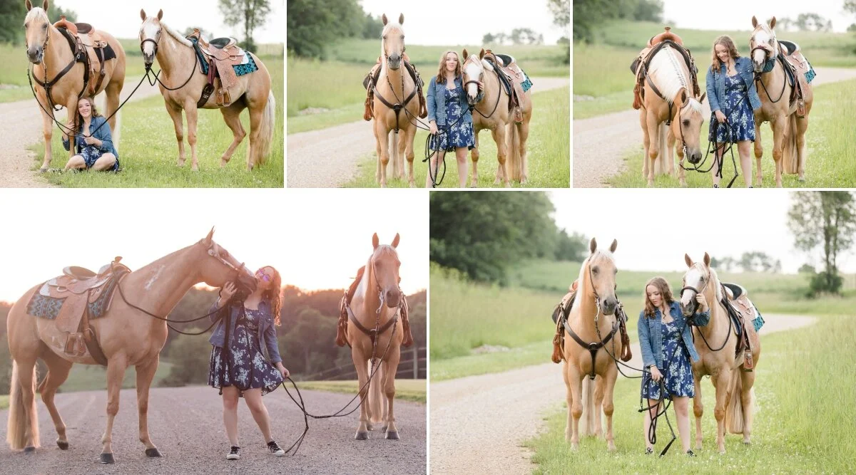 Wisconsin equine photographer