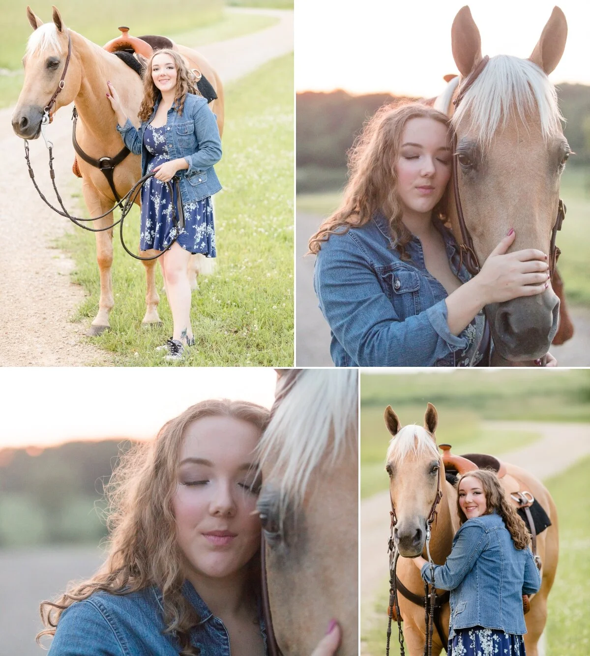 Wisconsin Equine Photography APHA + AQHA Show Horses