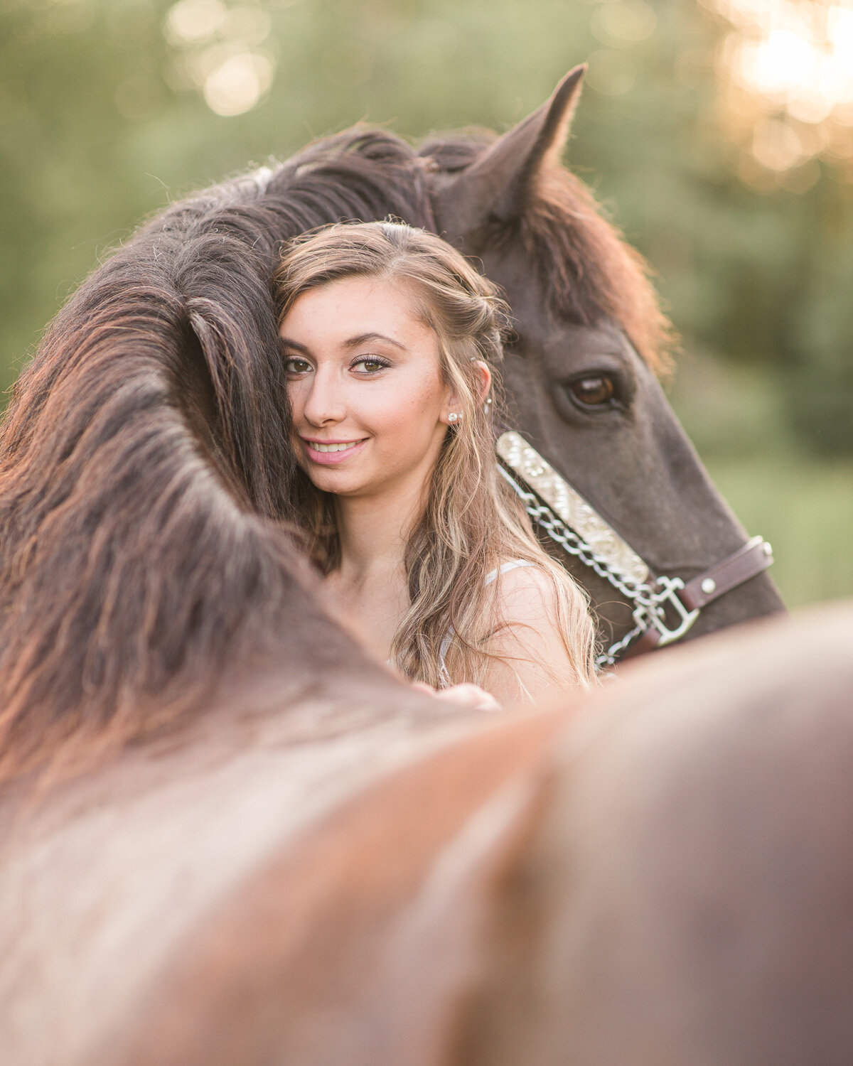 Horse Photography With Owner Experience by Copper Arrow Photography