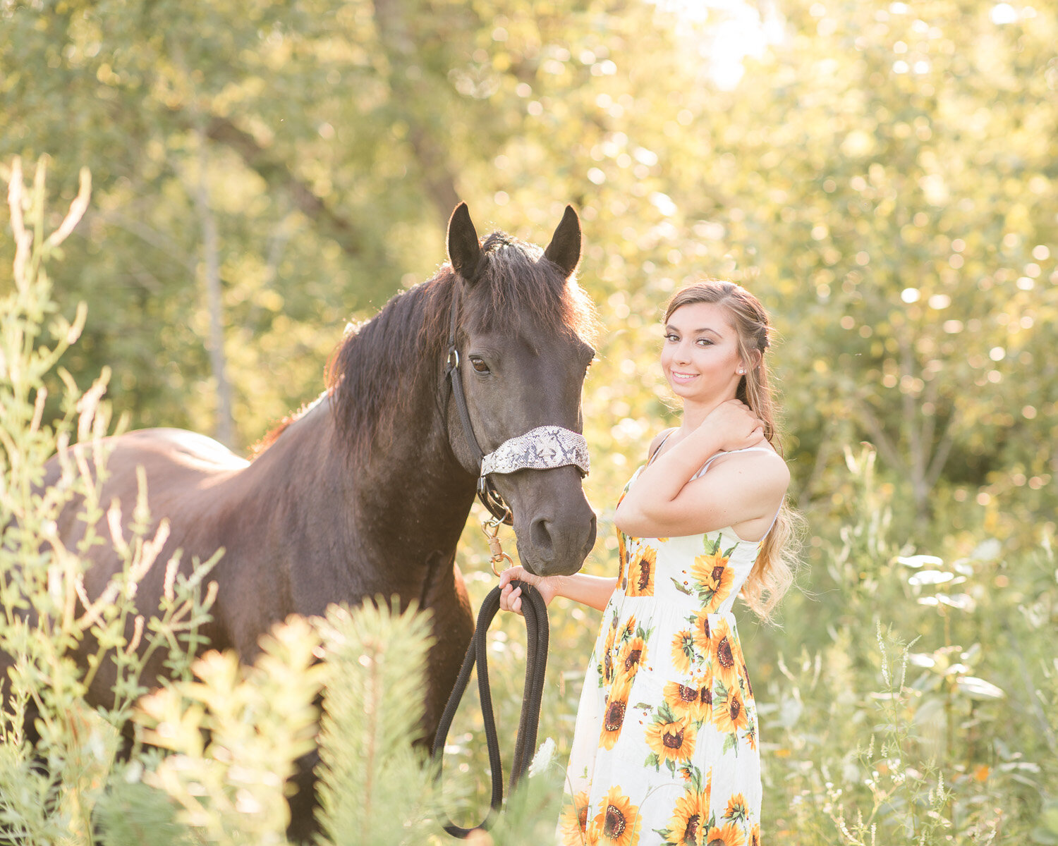 Horse Photography With Owner Experience by Copper Arrow Photography