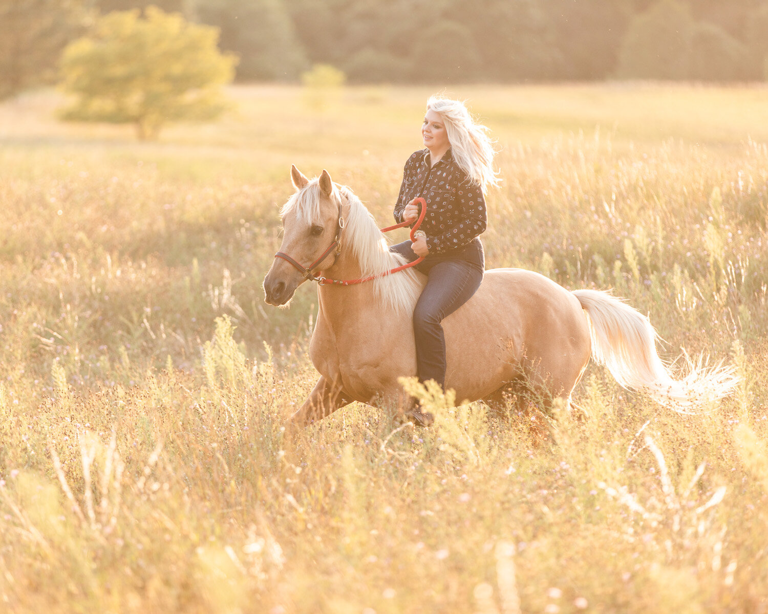 Horse Photography With Owner Experience by Copper Arrow Photography