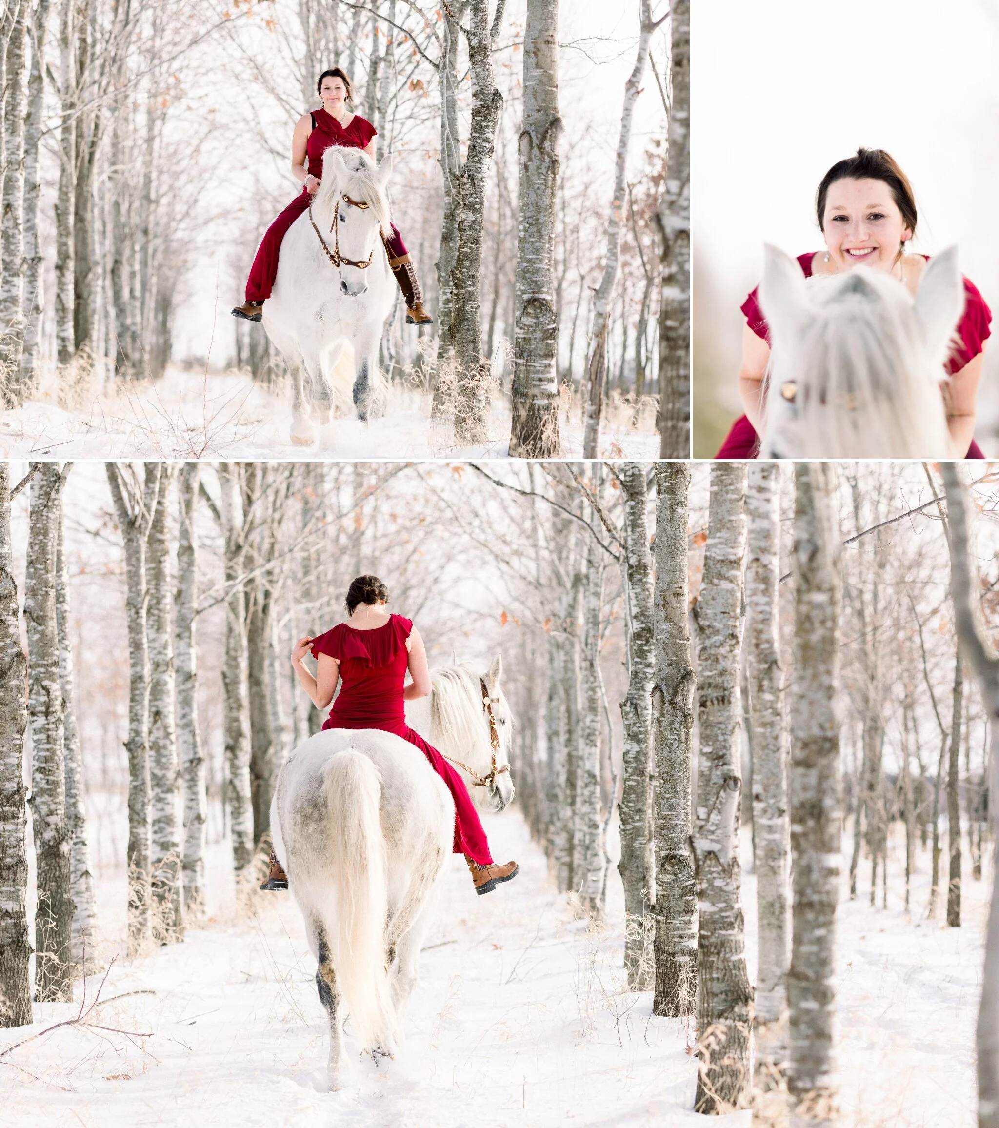 Wisconsin Winter Horse & Rider Pictures