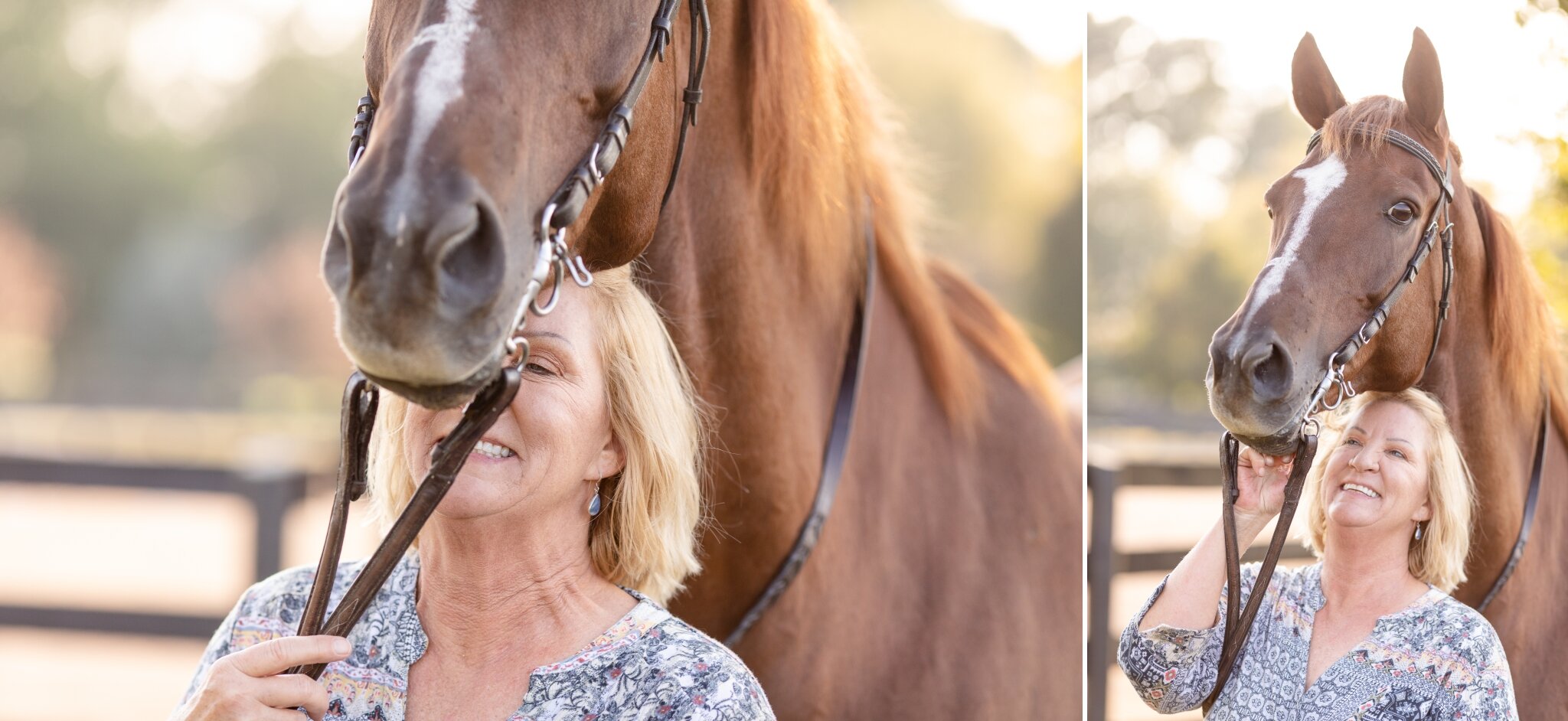 Horses being funny during photoshoot | Green Bay, WI | Wisconsin Equine Photography