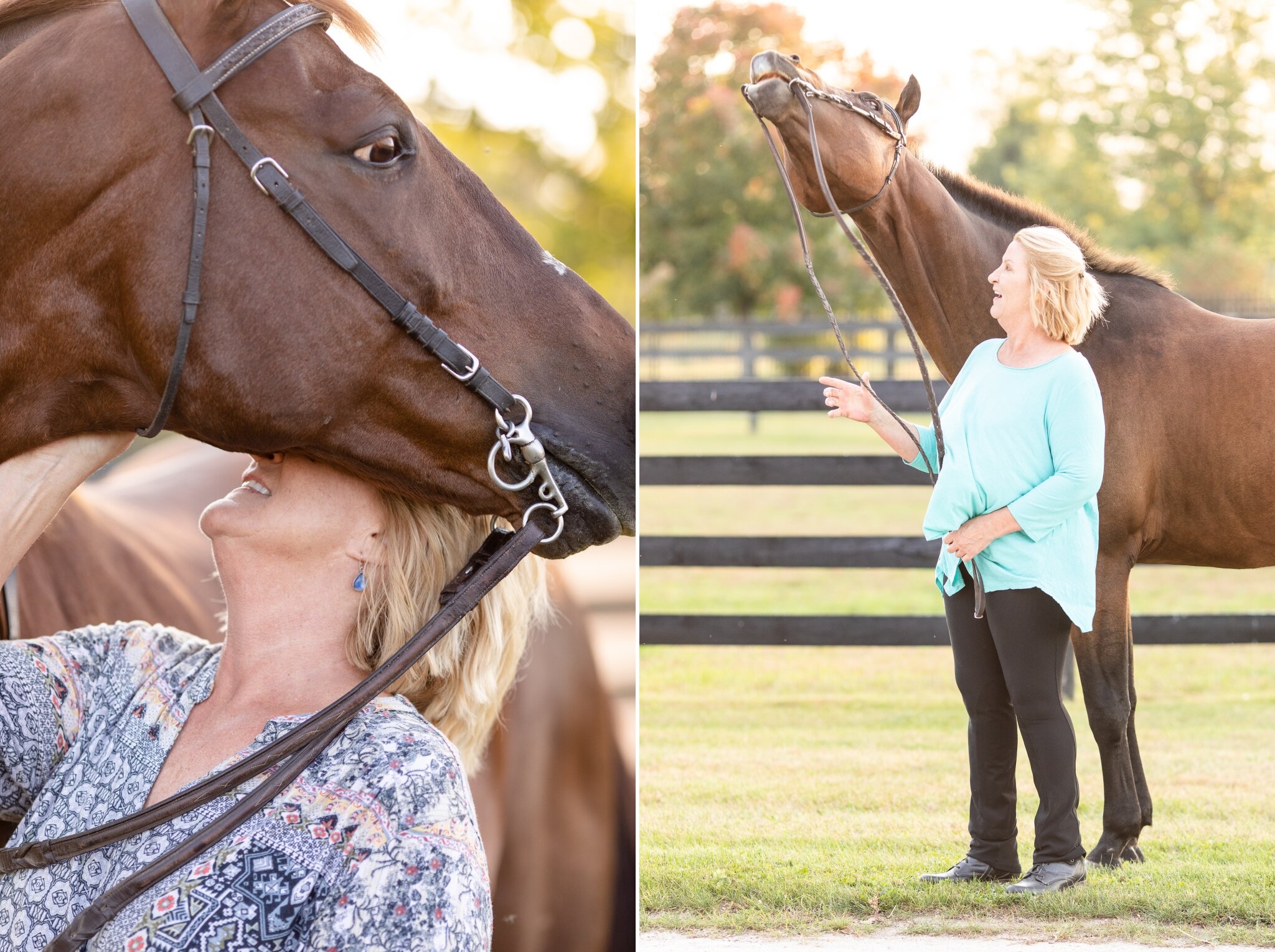 Horses being funny during photoshoot | Green Bay, WI | Wisconsin Equine Photography