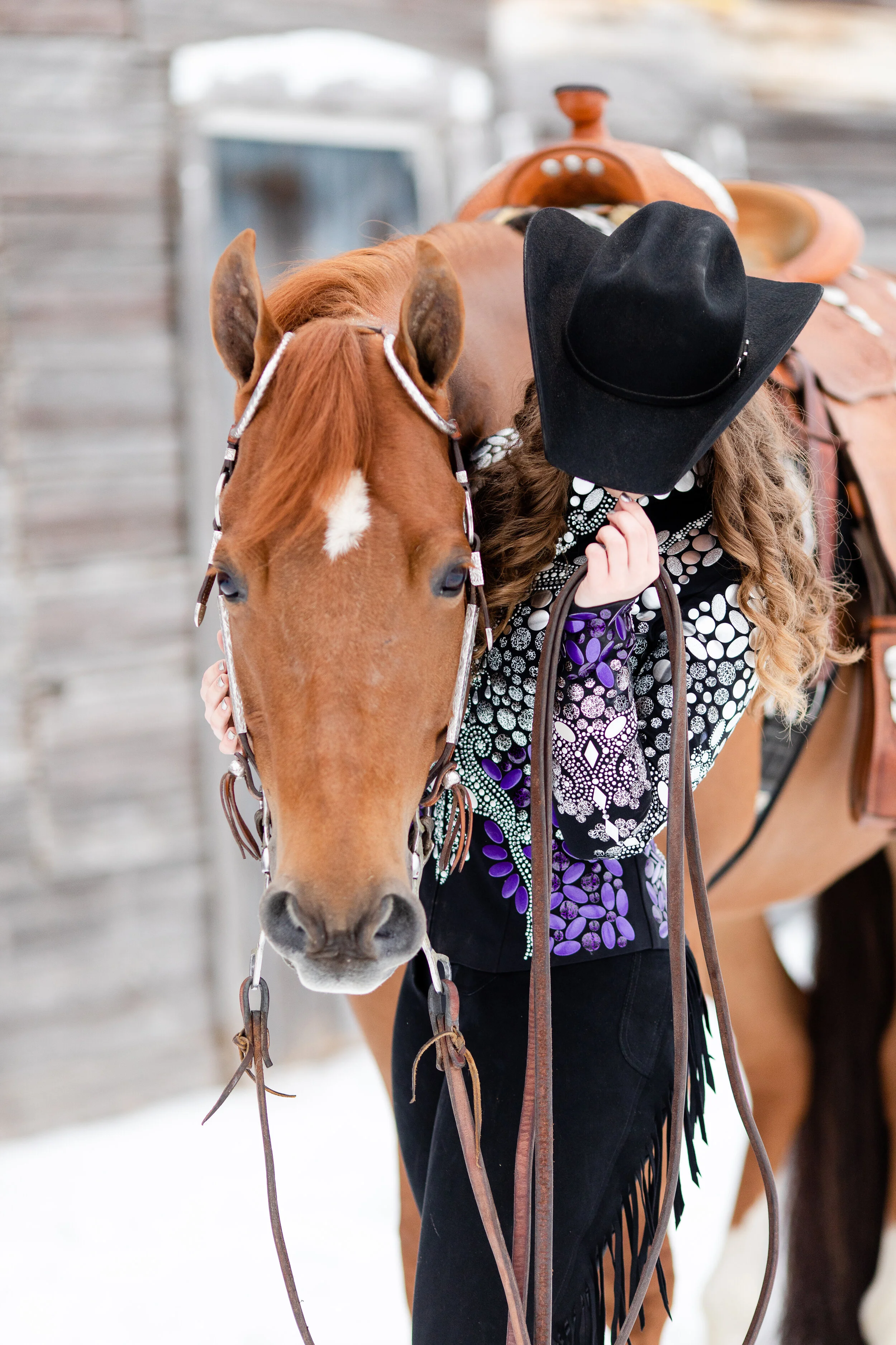 Wisconsin Equine Photographer