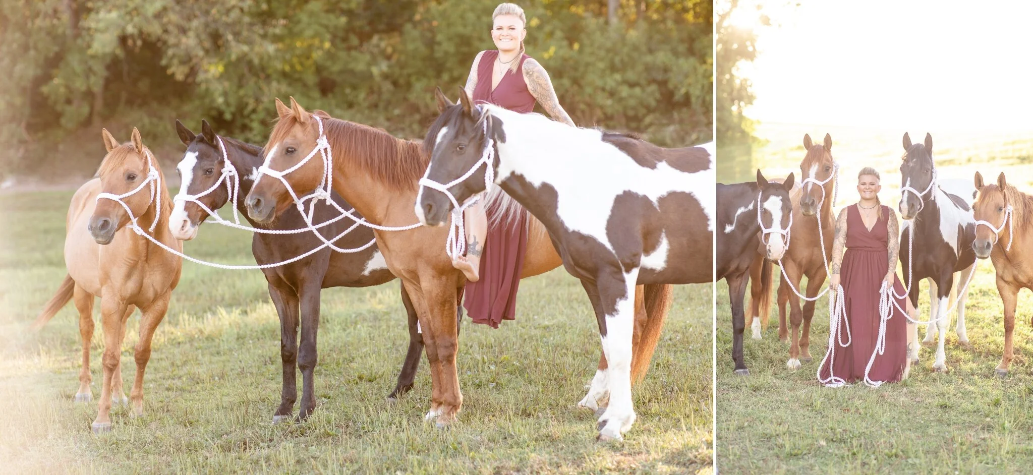 Multiple horse photoshoot | WIsconsin Equine Photographer