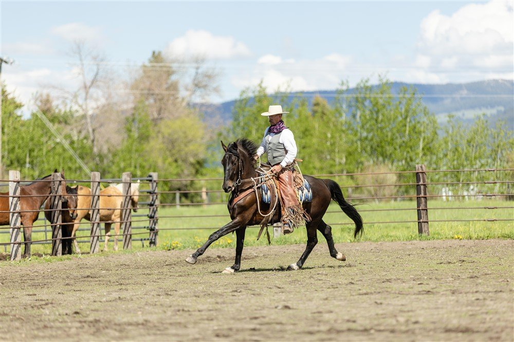 Horse and Rider Photoshoot in Bozeman Montana