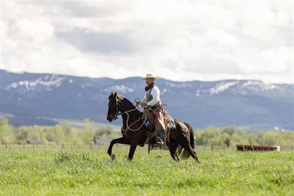 Horse &amp; Rider Photoshoot in Bozeman Montana