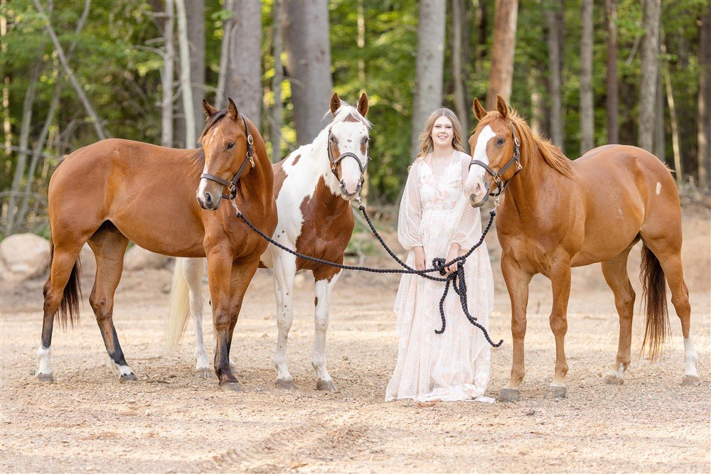Horse and Rider Portraits in Michigan