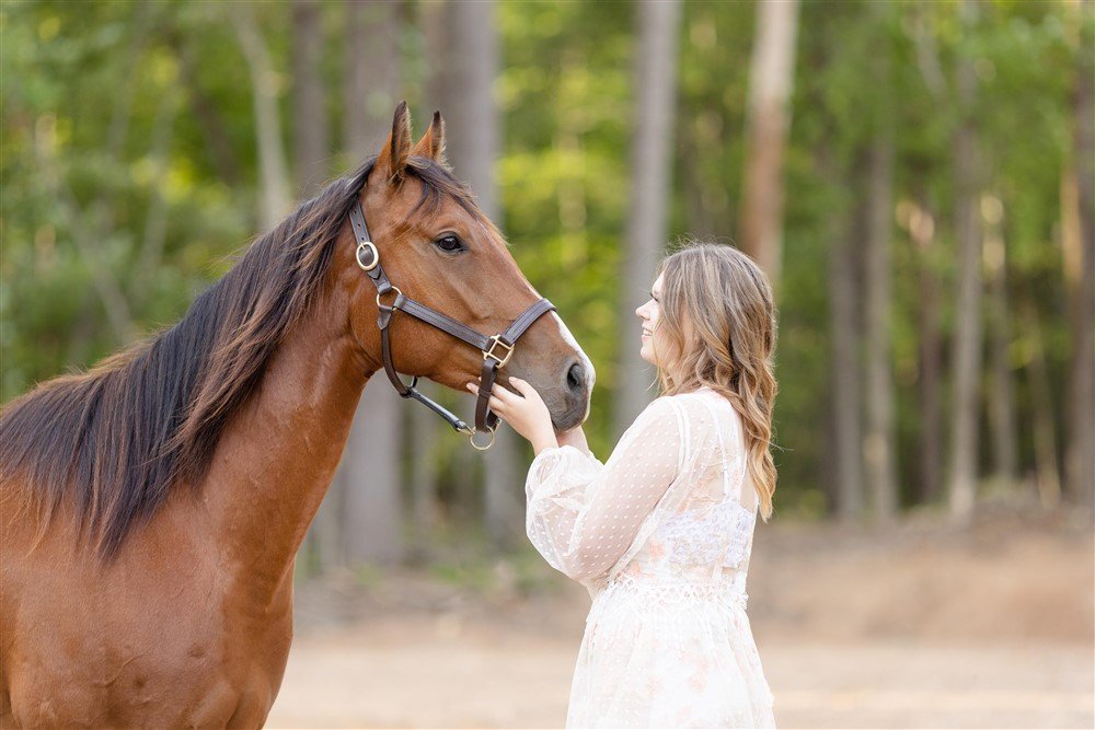 Quarter Horse with girl photoshoot in Michigan