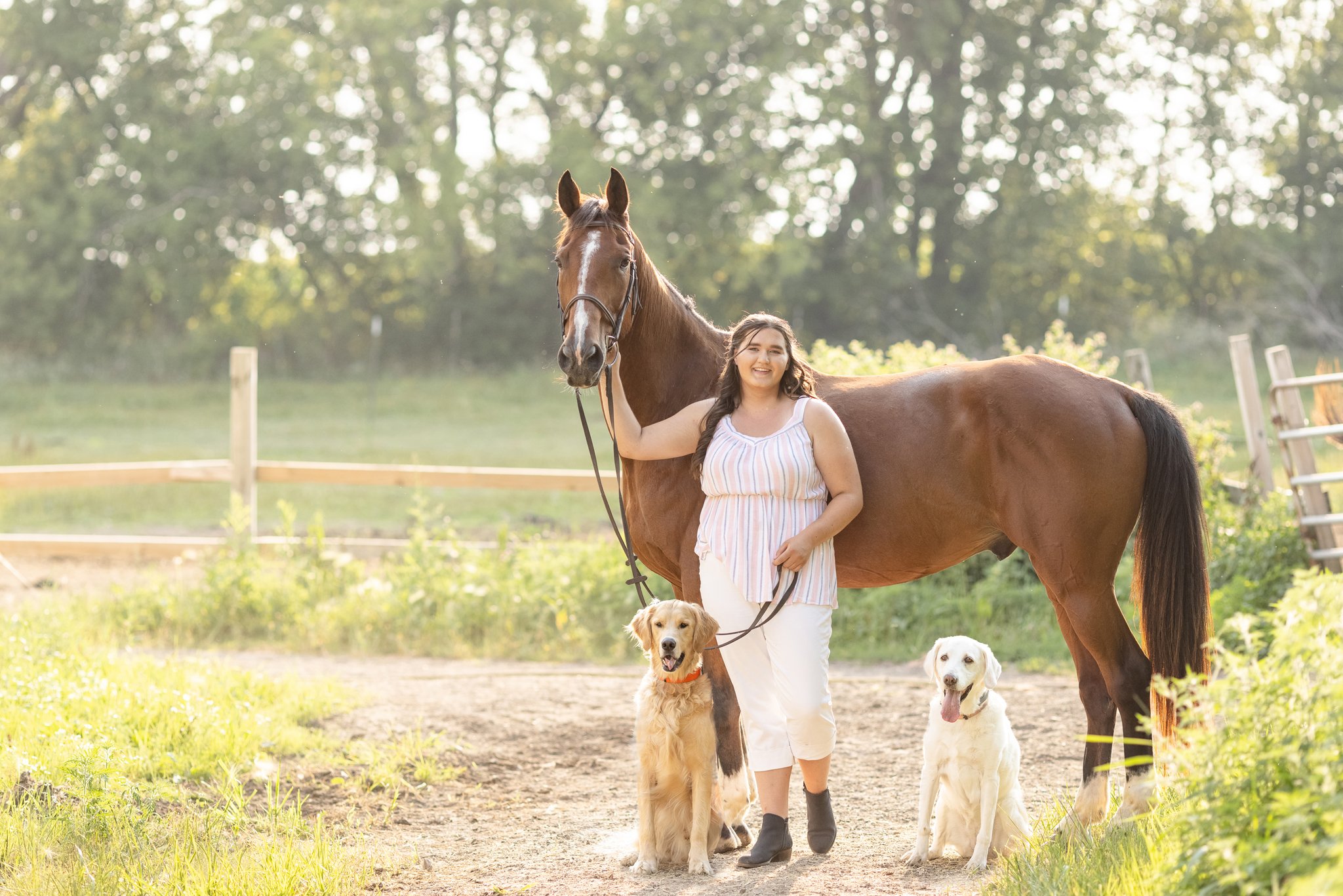 Senior Session with horse and dog in Wisconsin