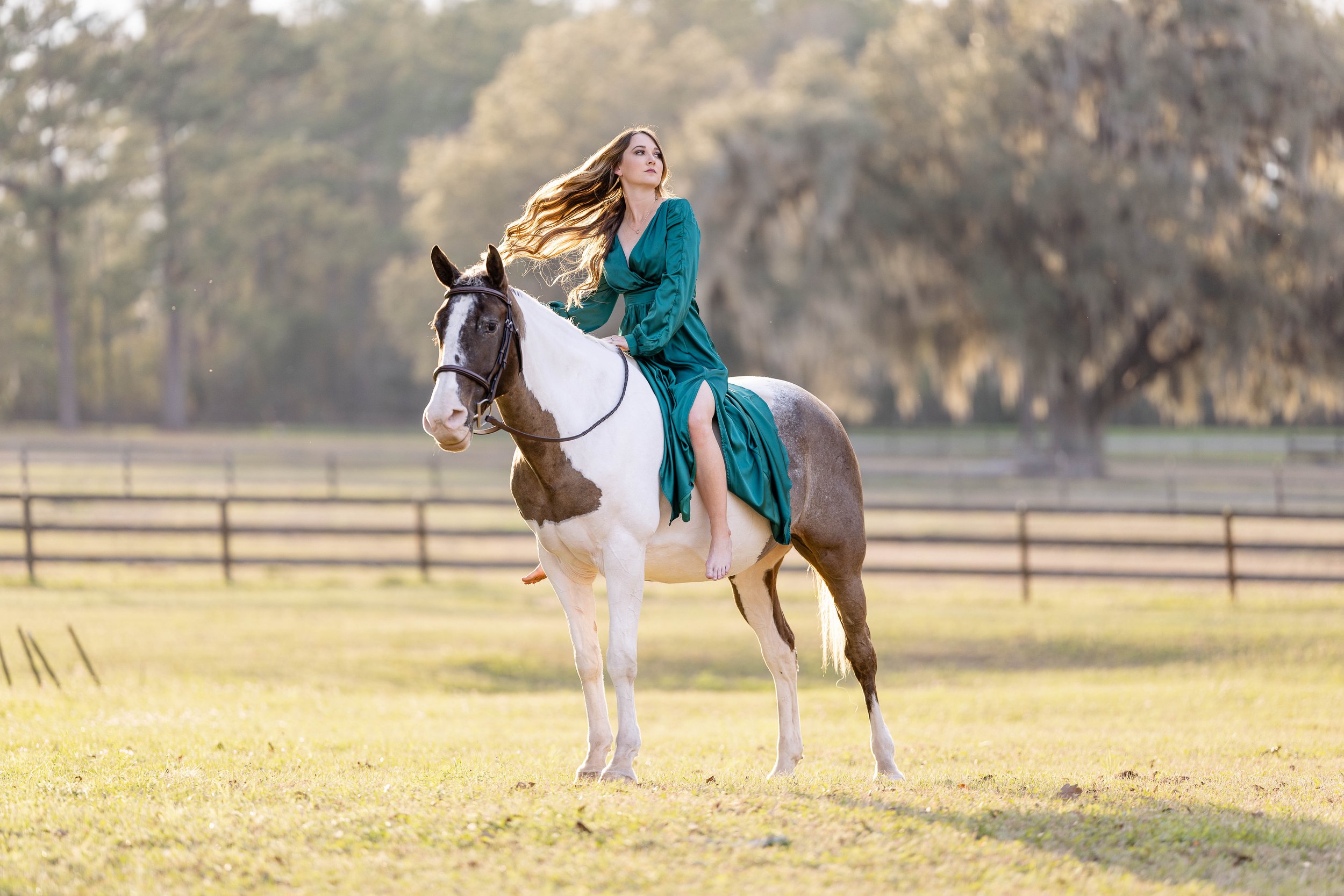 Horse &amp; Rider Photoshoot in Monticello, Florida