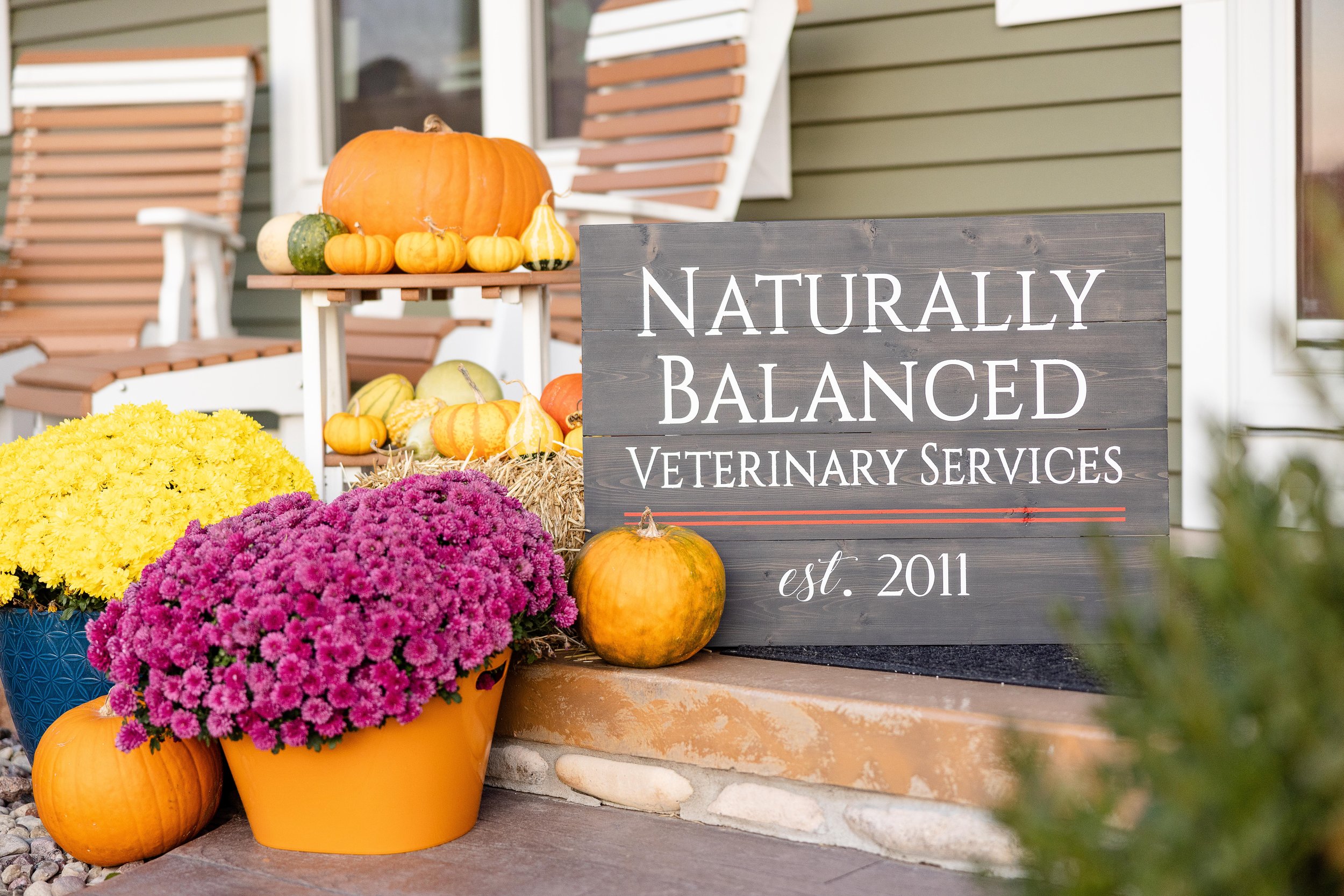 Photoshoot for Dr. Patty with Naturally Balanced Veterinary Services