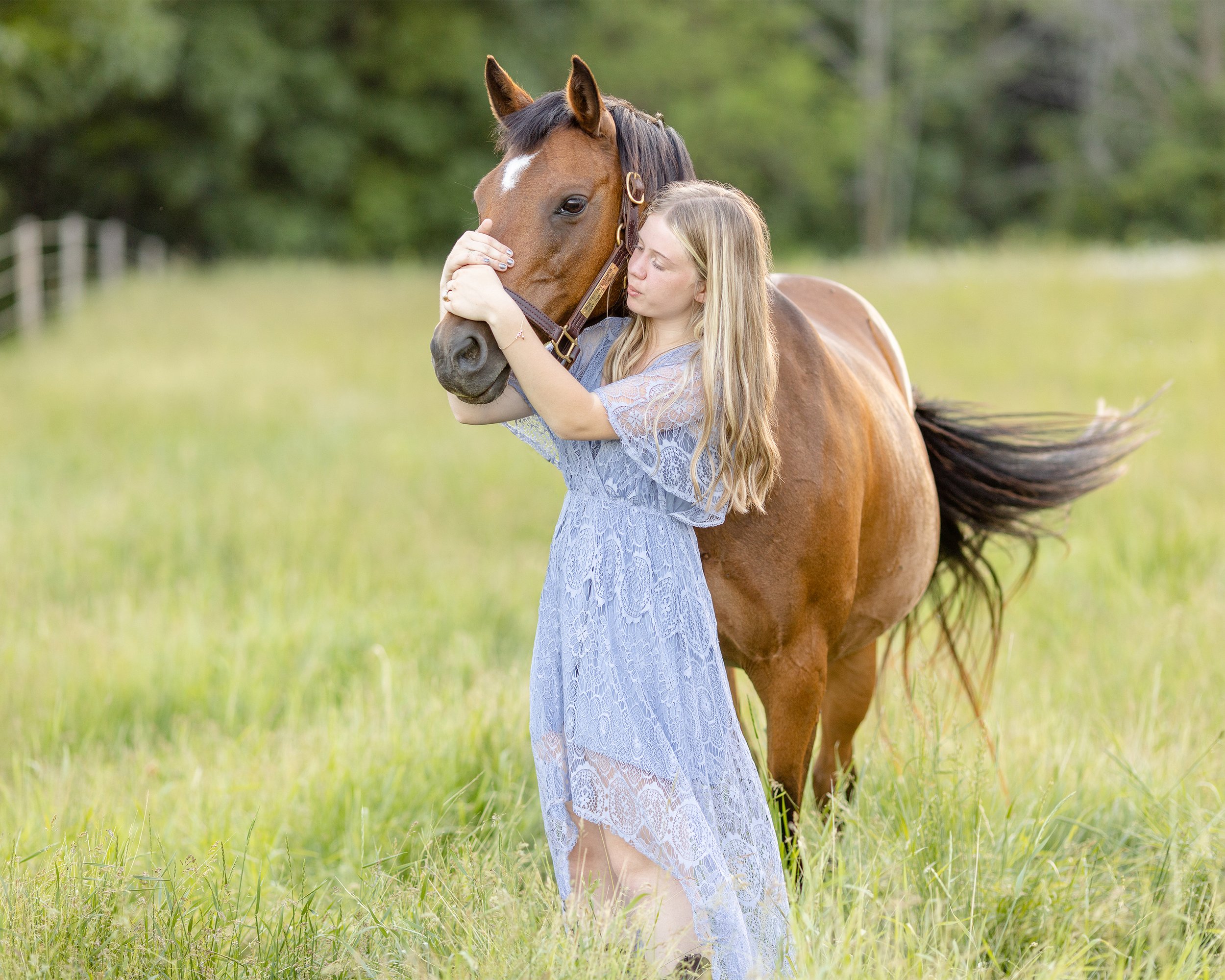 Horse &amp; rider photoshoot in Wisconsin