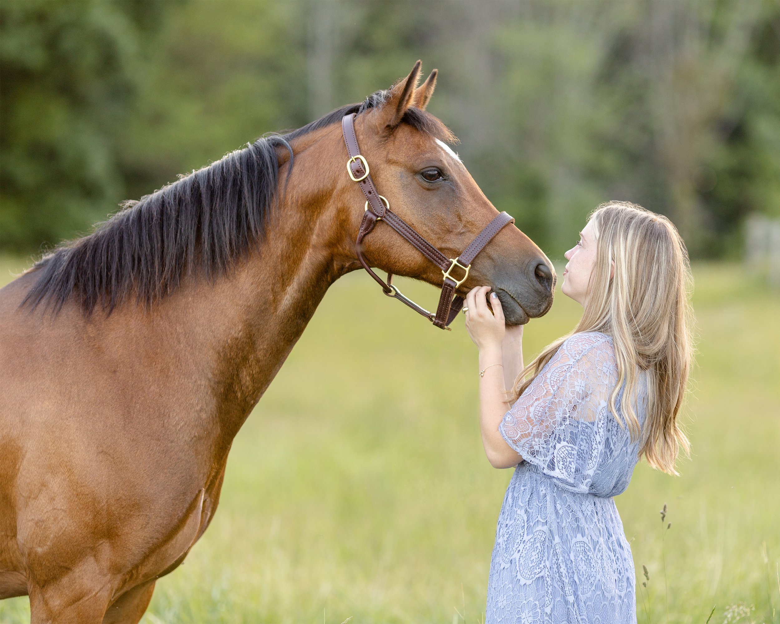 Horse &amp; rider photoshoot in Wisconsin