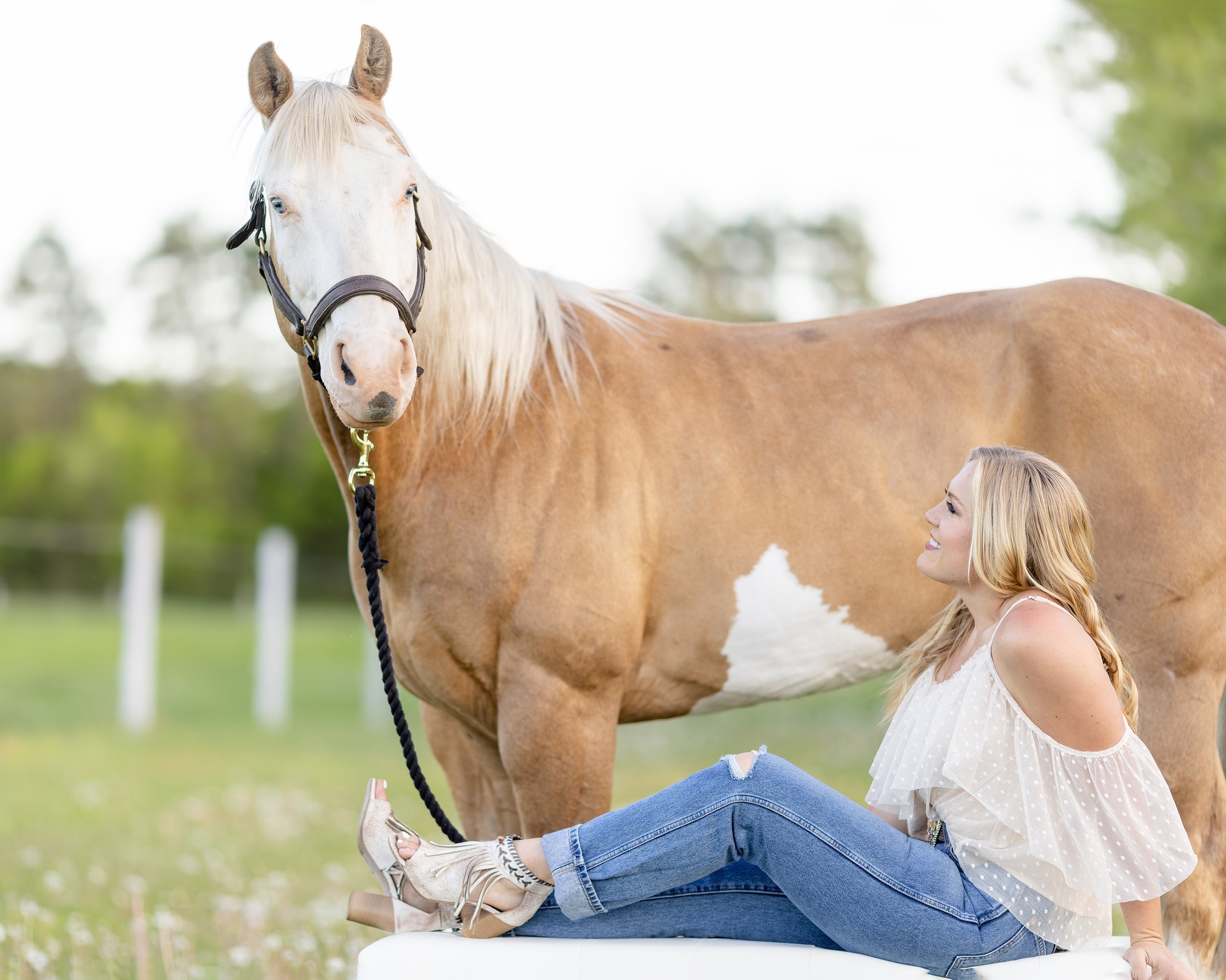 Horse &amp; Rider photoshoot with Miranda Lambert Vibes