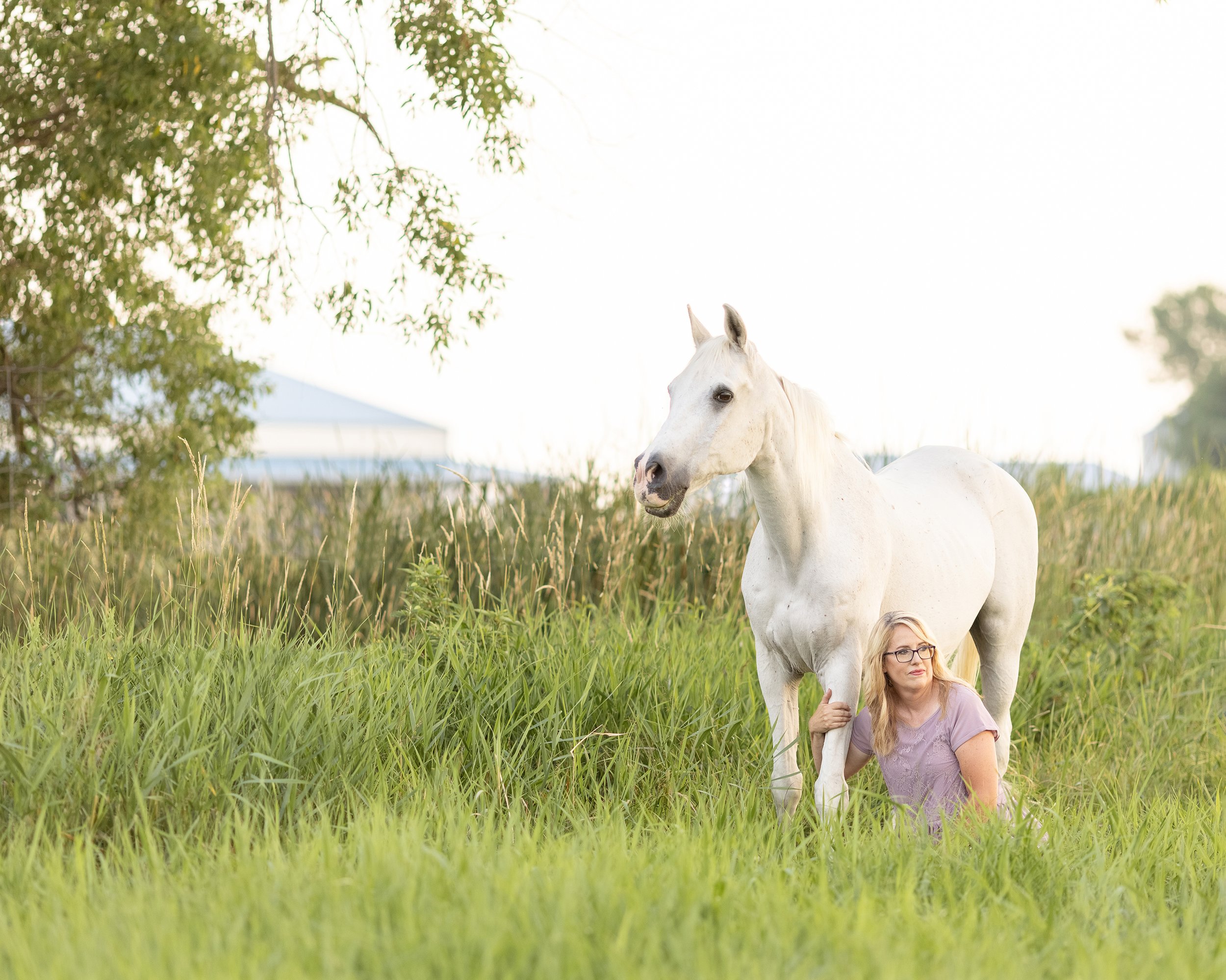 Horse Photography in Wisconsin