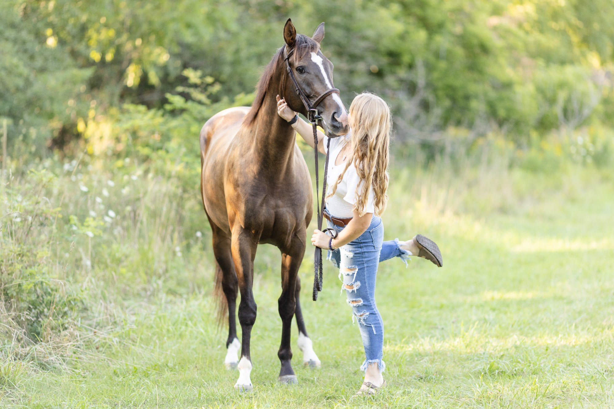 Horse &amp; Rider Photoshoot in Wisconsin