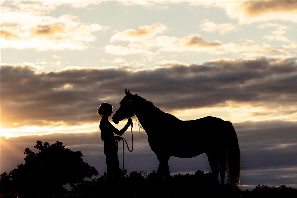 Silhouette Portrait with a horse