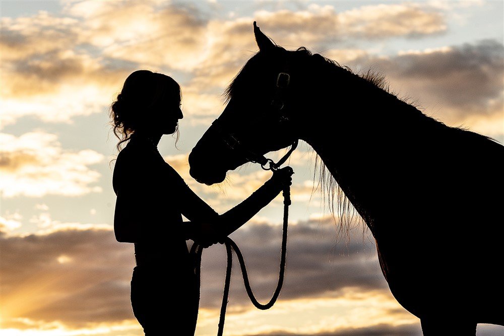 Silhouette Portrait with a horse