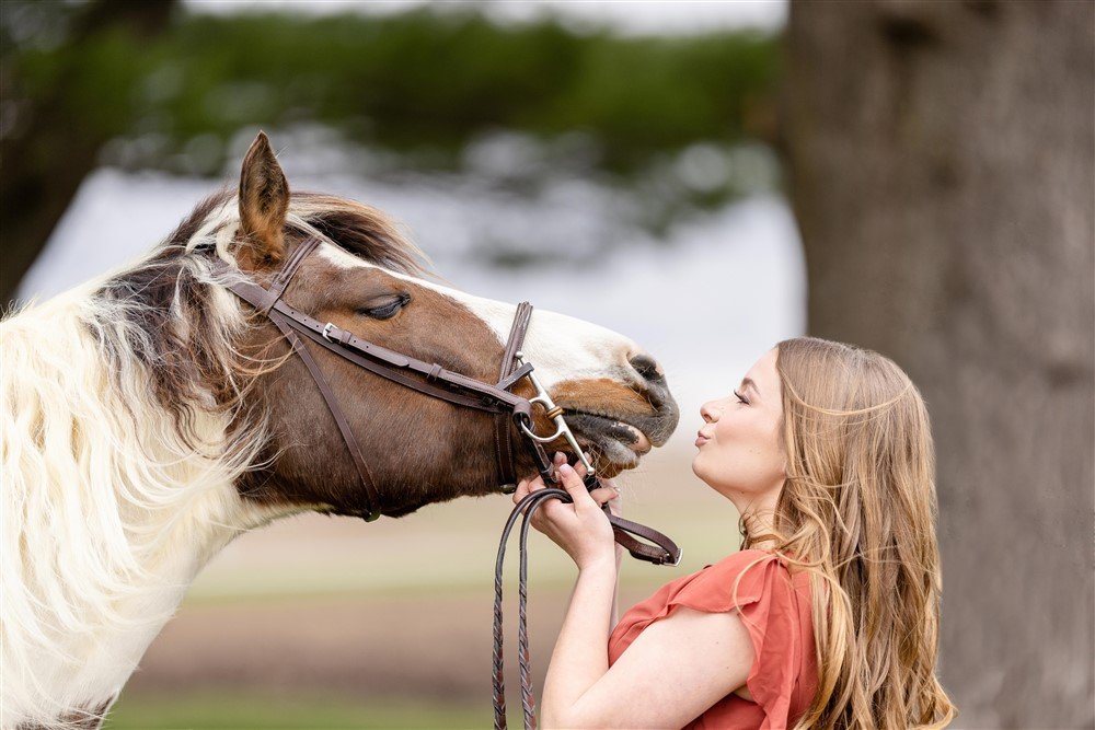 Madison, WI Horse Photographer