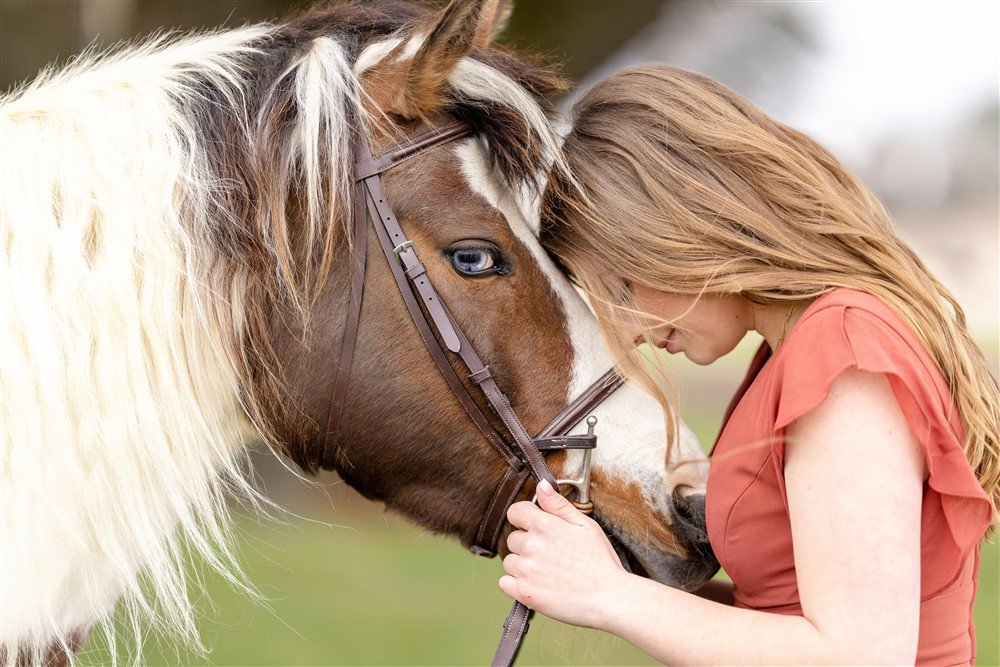 Madison, WI Horse Photographer