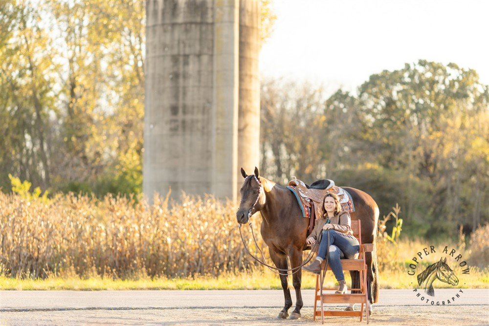 Buckskin Gelding AQHA, IBHA, Wisconsin Horse Photographer
