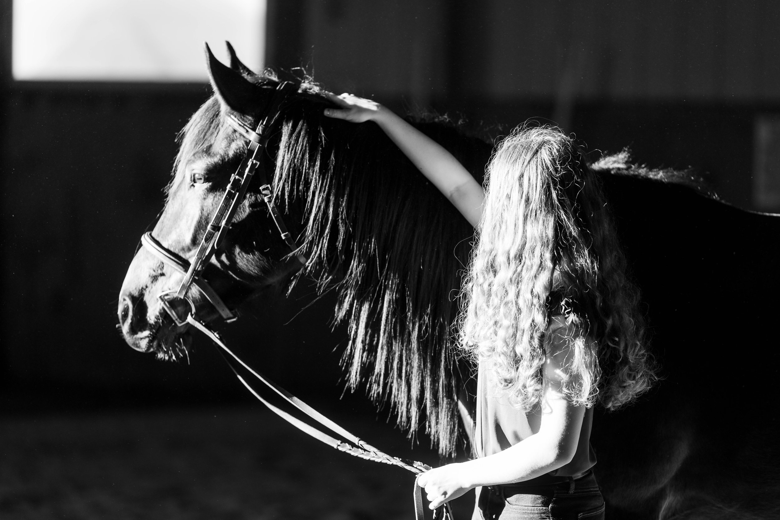 Young Horse and Rider Portraits in WIsconsin