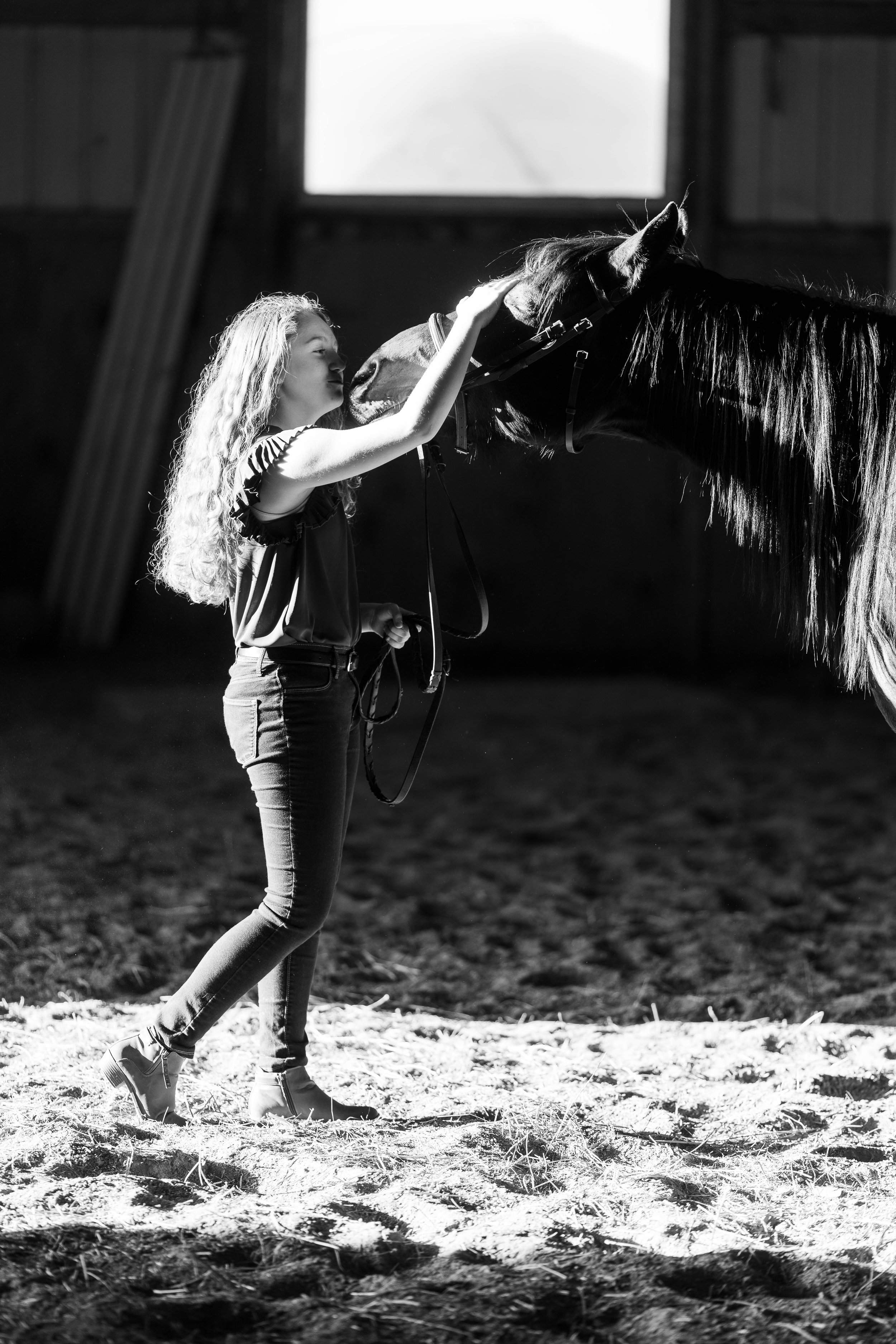 Young Horse and Rider Portraits in WIsconsin