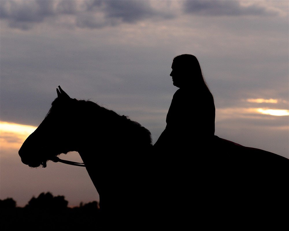 Equine Photography with a Nokota Mustang in Wisconsin