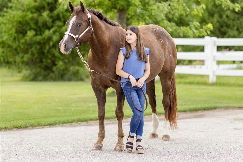 Wisconsin Horse Photographer