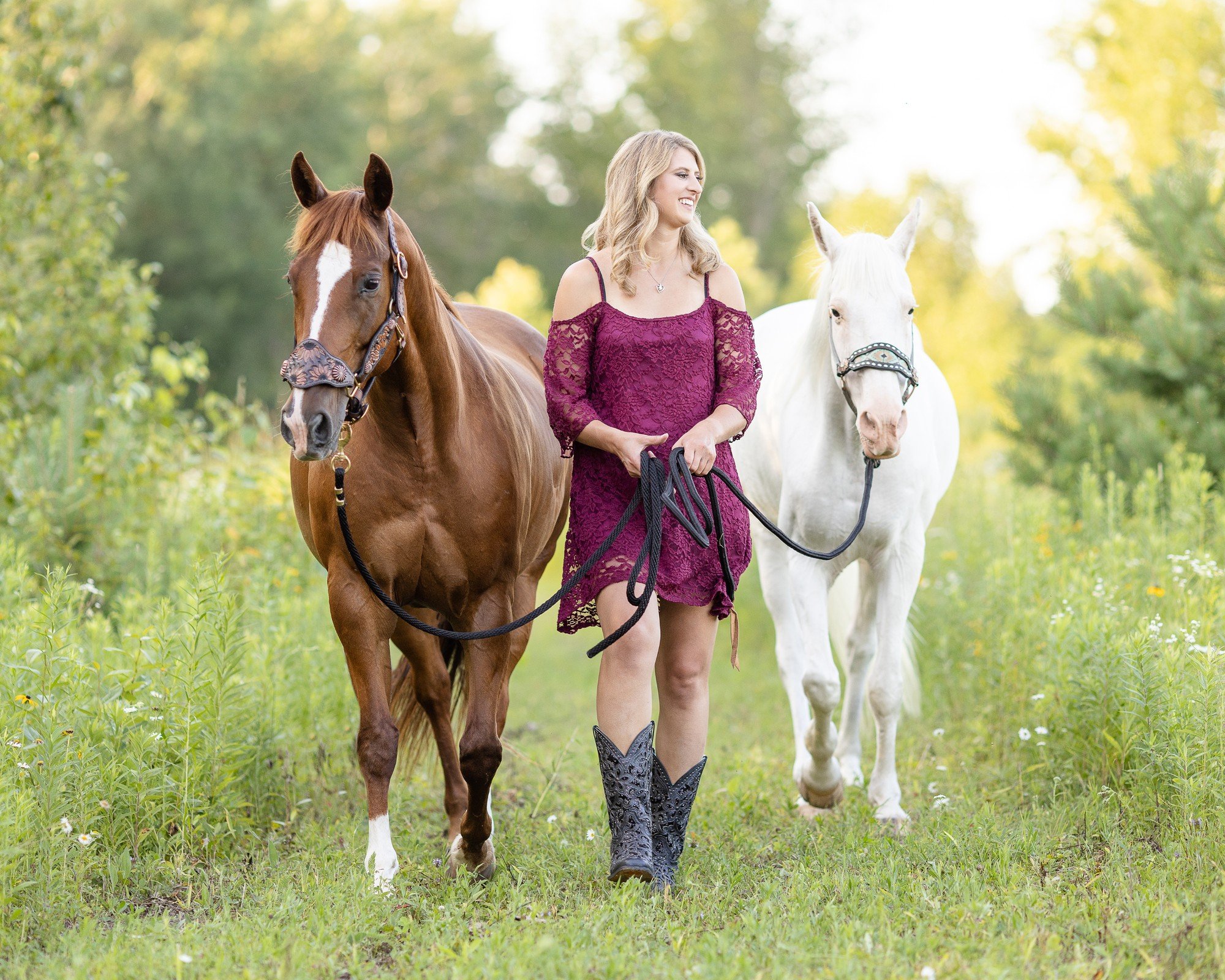 Wisconsin Horse Photographer