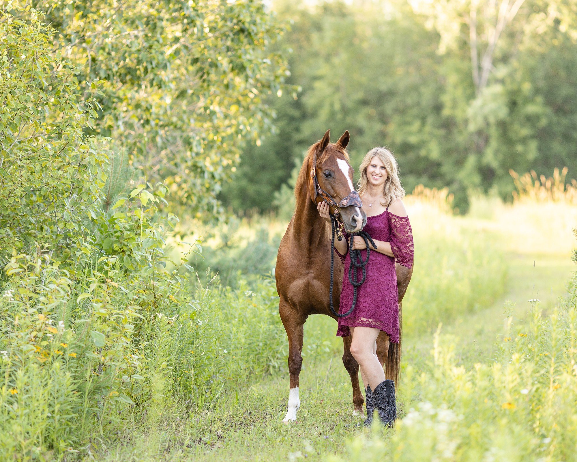 Wisconsin Horse Photographer