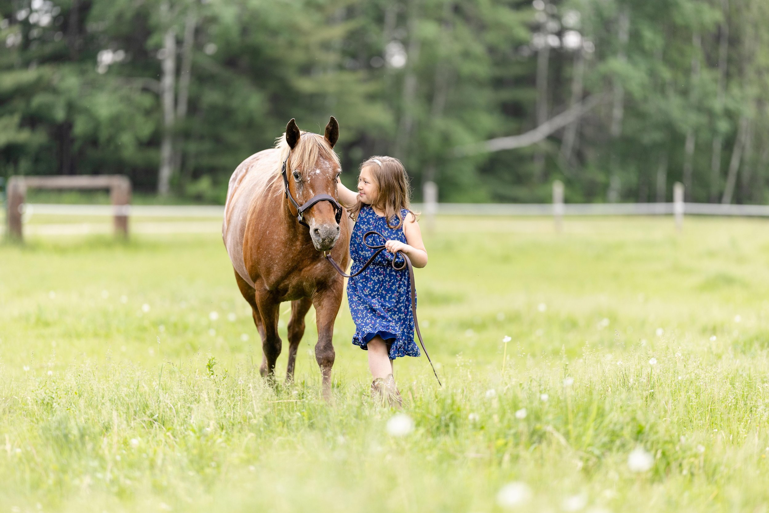 Youth horse and rider photoshoot in Marshfield, WI