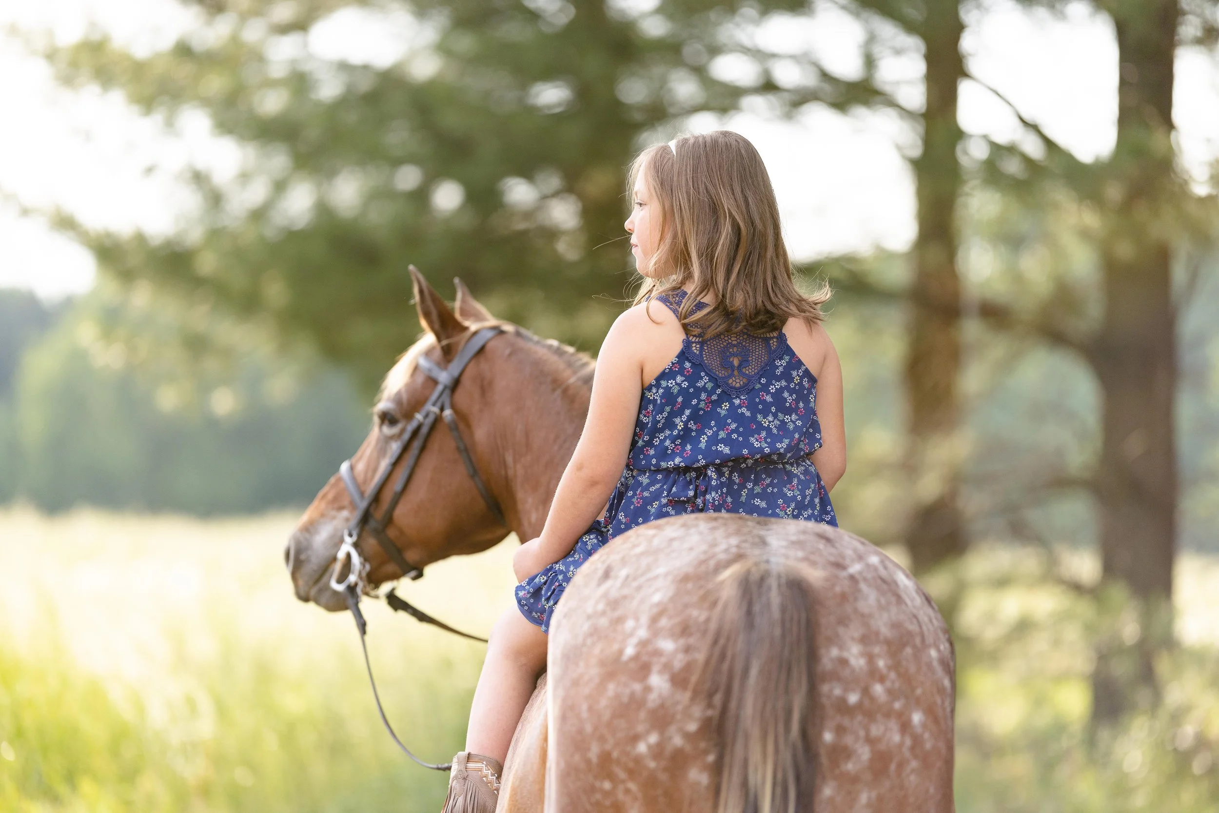 Youth horse and rider photoshoot in Marshfield, WI