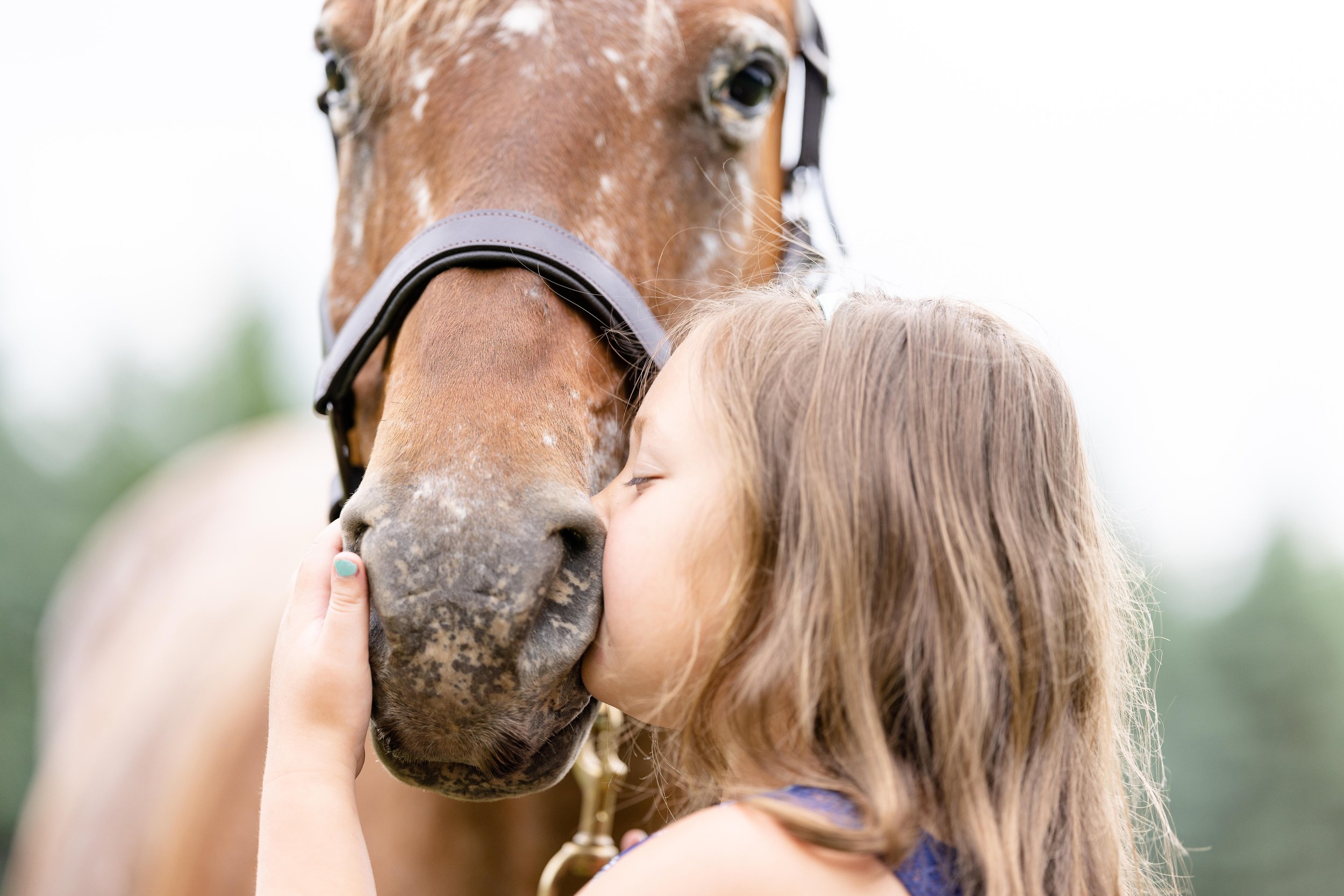 Youth horse and rider photoshoot in Marshfield, WI