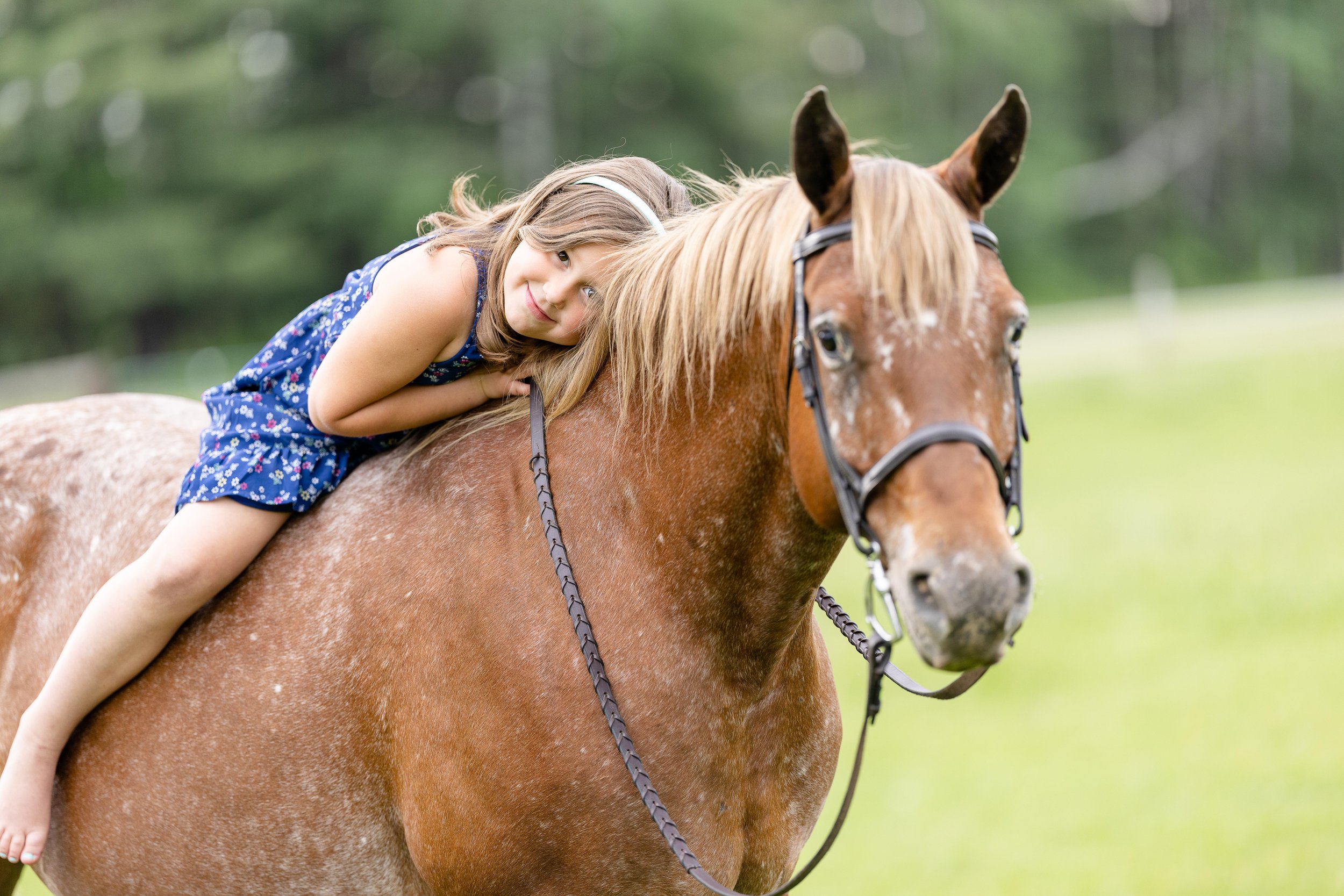 Youth horse and rider photoshoot in Marshfield, WI