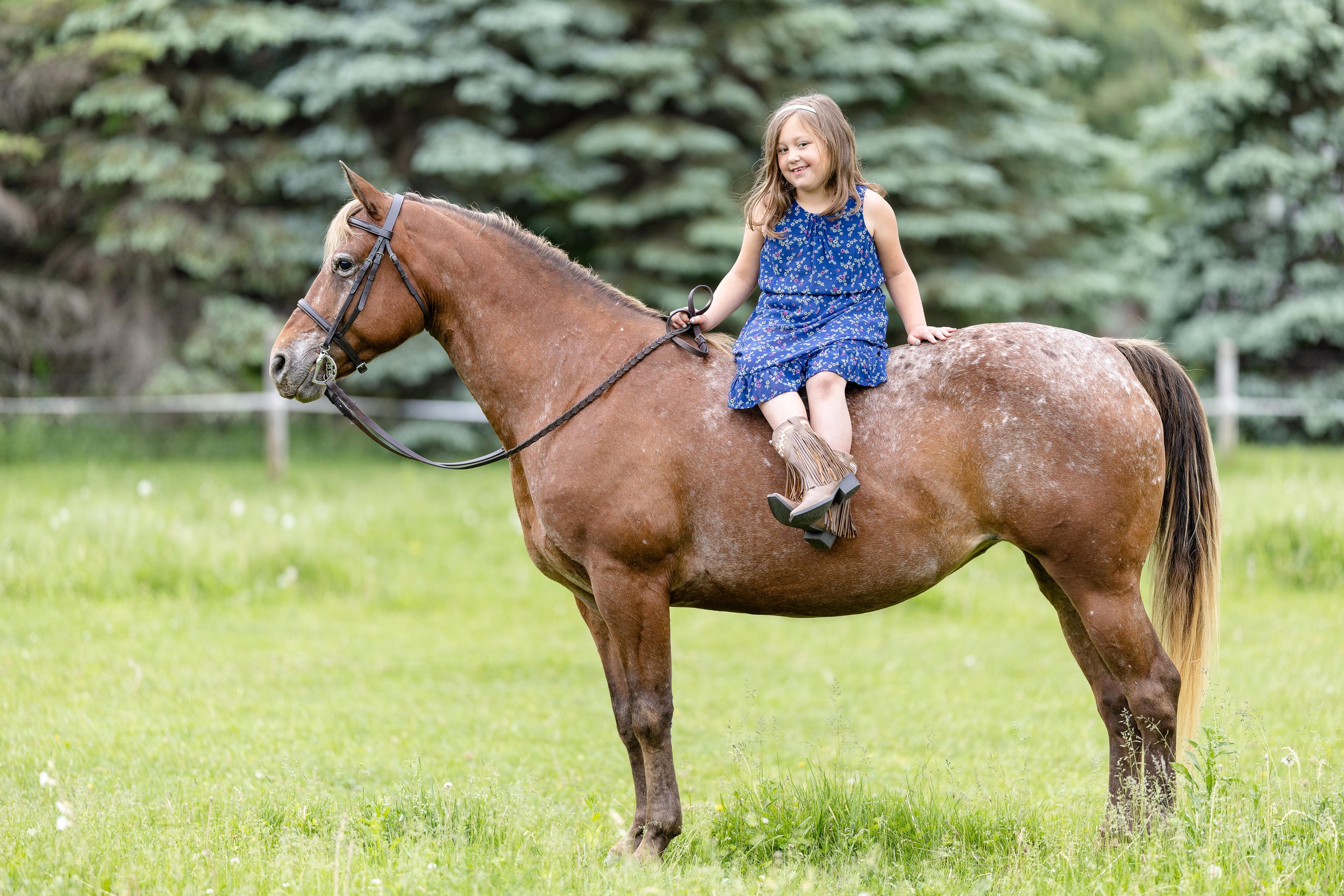 Youth horse and rider photoshoot in Marshfield, WI