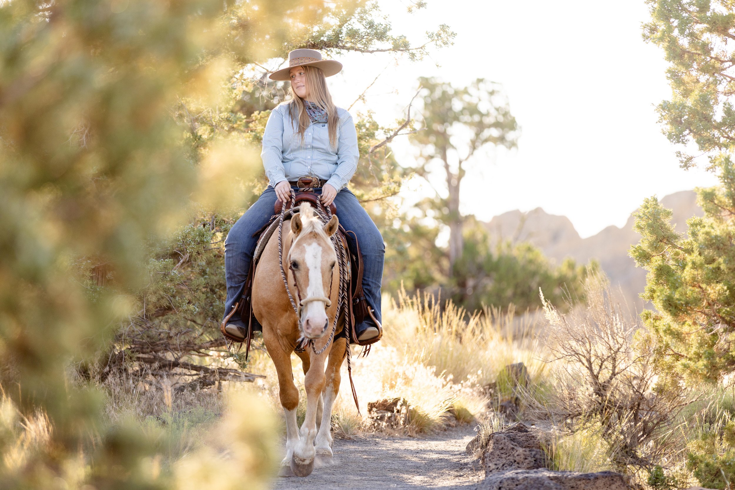 Equine Photography Terrebonne, OR