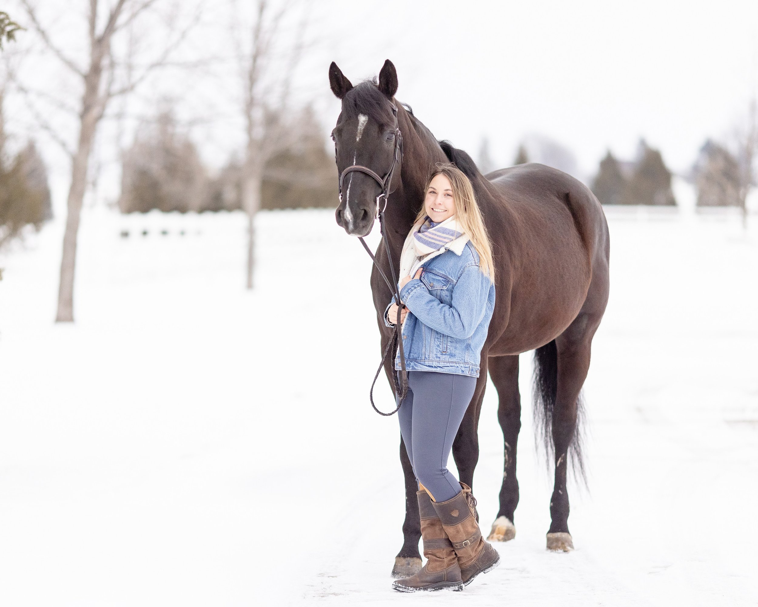 Winter Equine Photography Green Bay WI